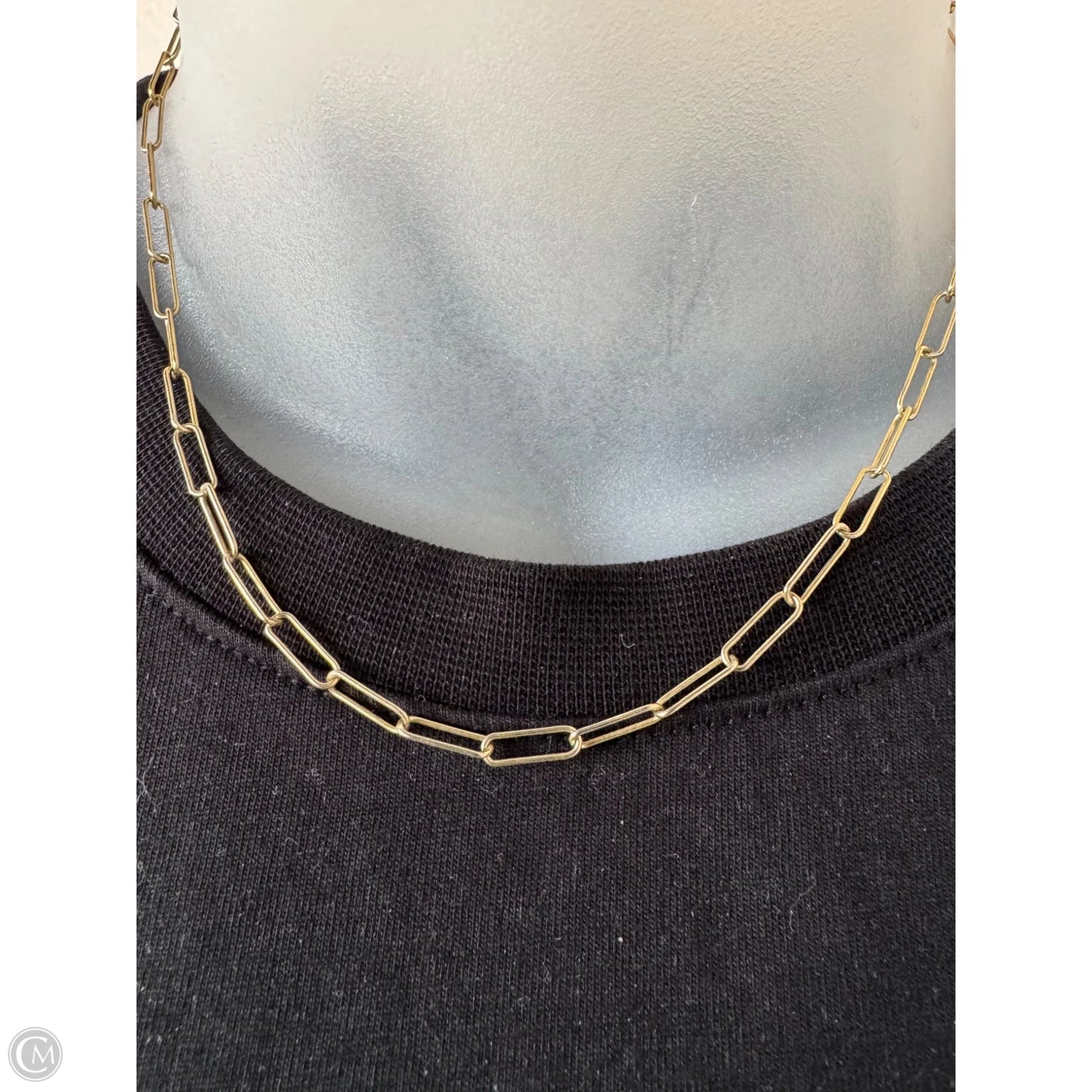 Necklace Chain By Clothes Mentor