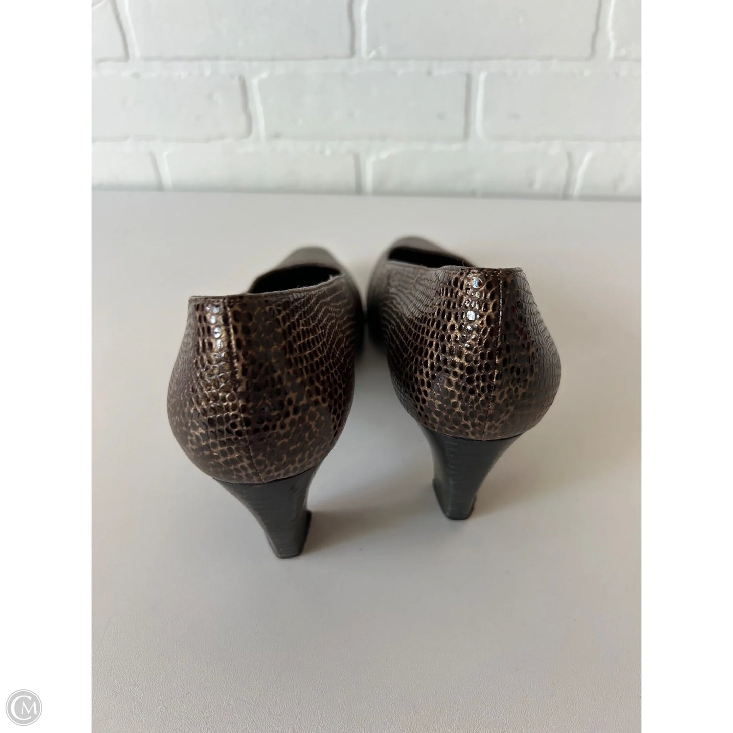 Shoes Designer By Stuart Weitzman In Snakeskin Print, Size: 10