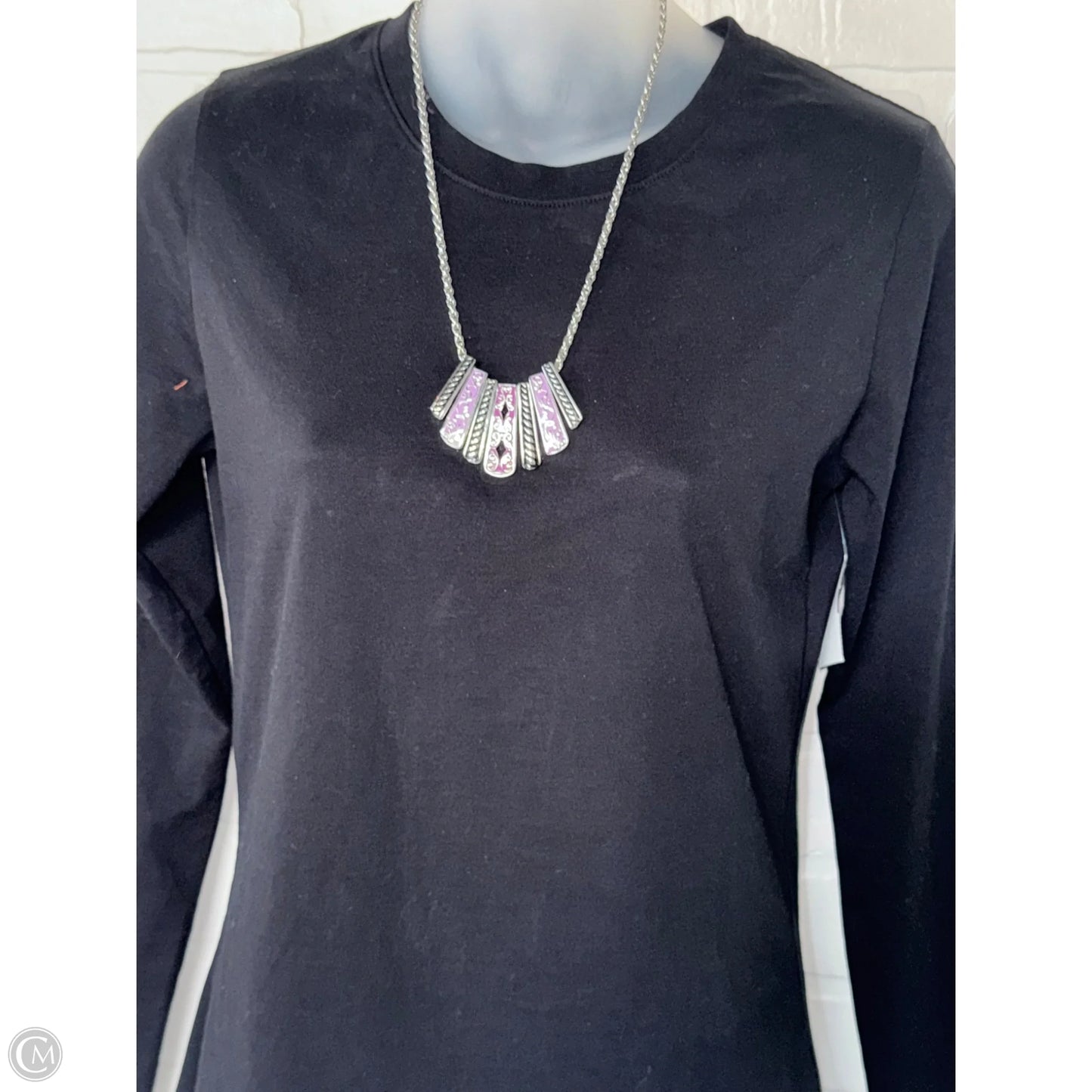 Necklace Pendant By Clothes Mentor