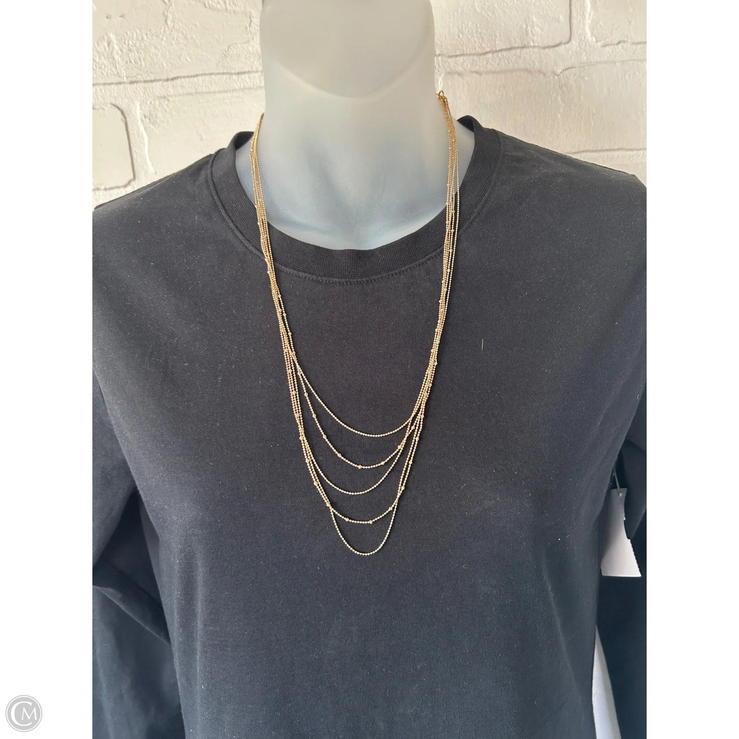 Necklace Layered By Anthropologie