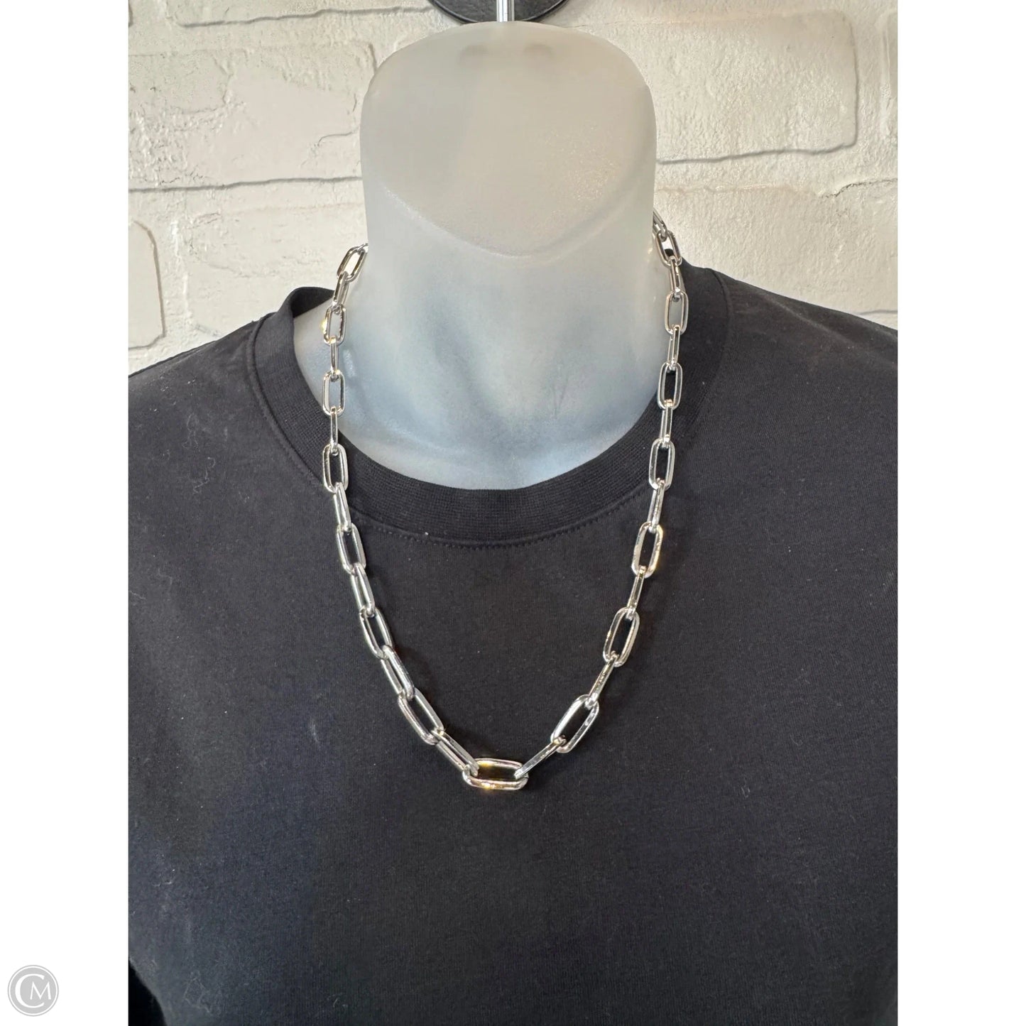 Necklace Chain By Clothes Mentor