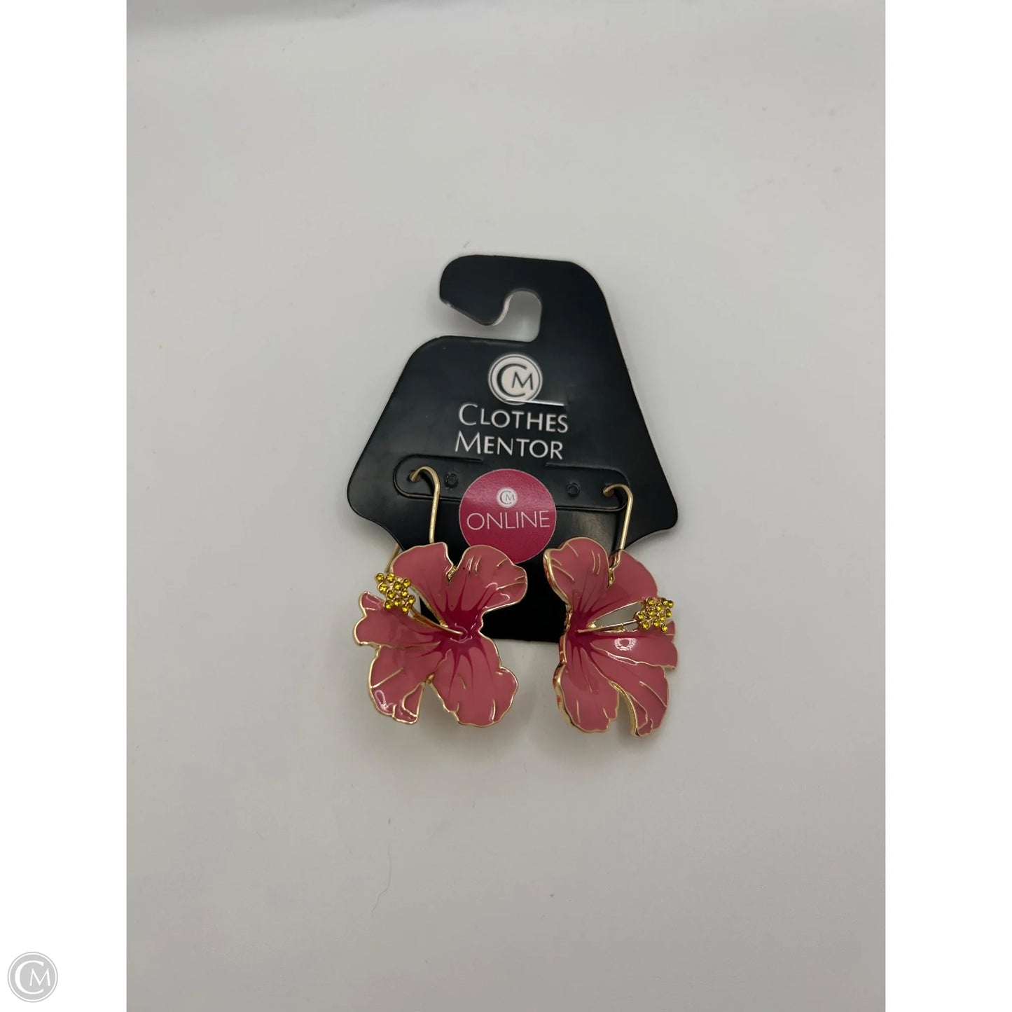 Earrings Dangle/drop By Clothes Mentor