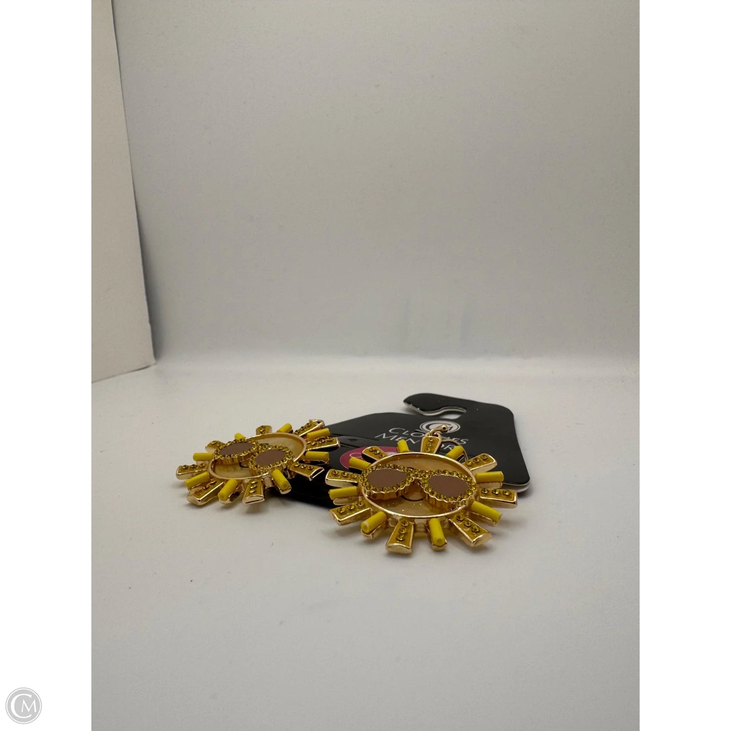 Earrings Dangle/drop By Clothes Mentor