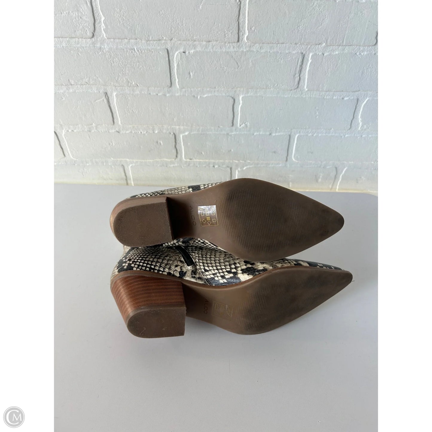 Boots Ankle Heels By Aldo In Snakeskin Print, Size: 11