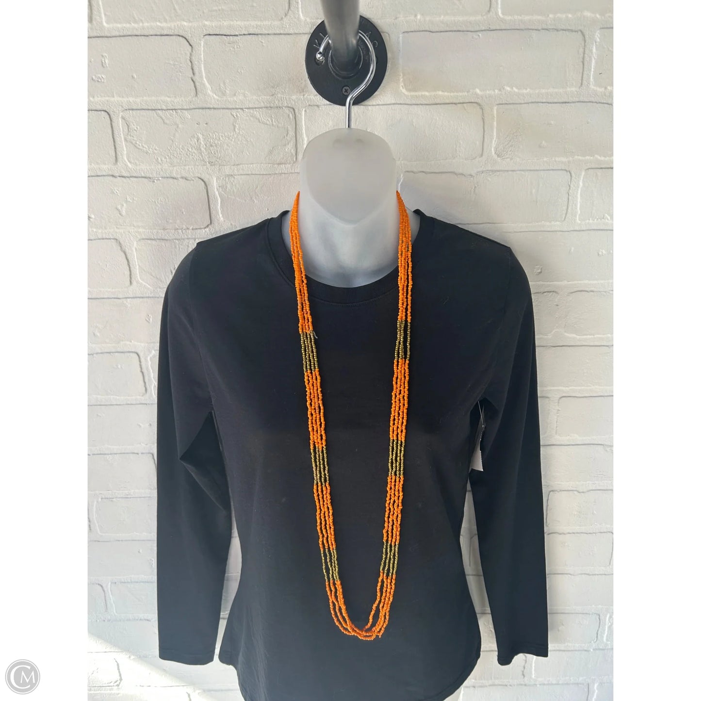 Necklace Layered By Clothes Mentor