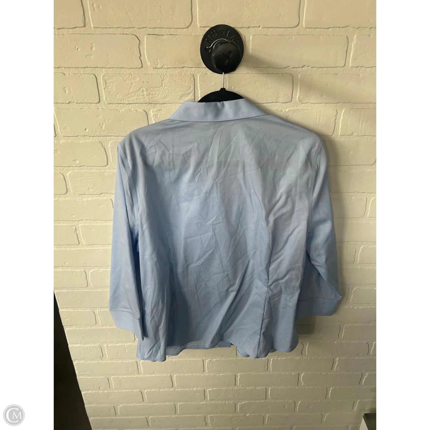 Blouse Long Sleeve By Ann Taylor In Blue, Size: Xl
