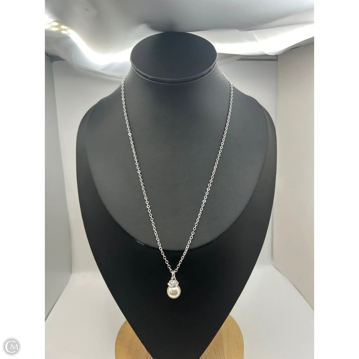 Necklace Pendant By Clothes Mentor