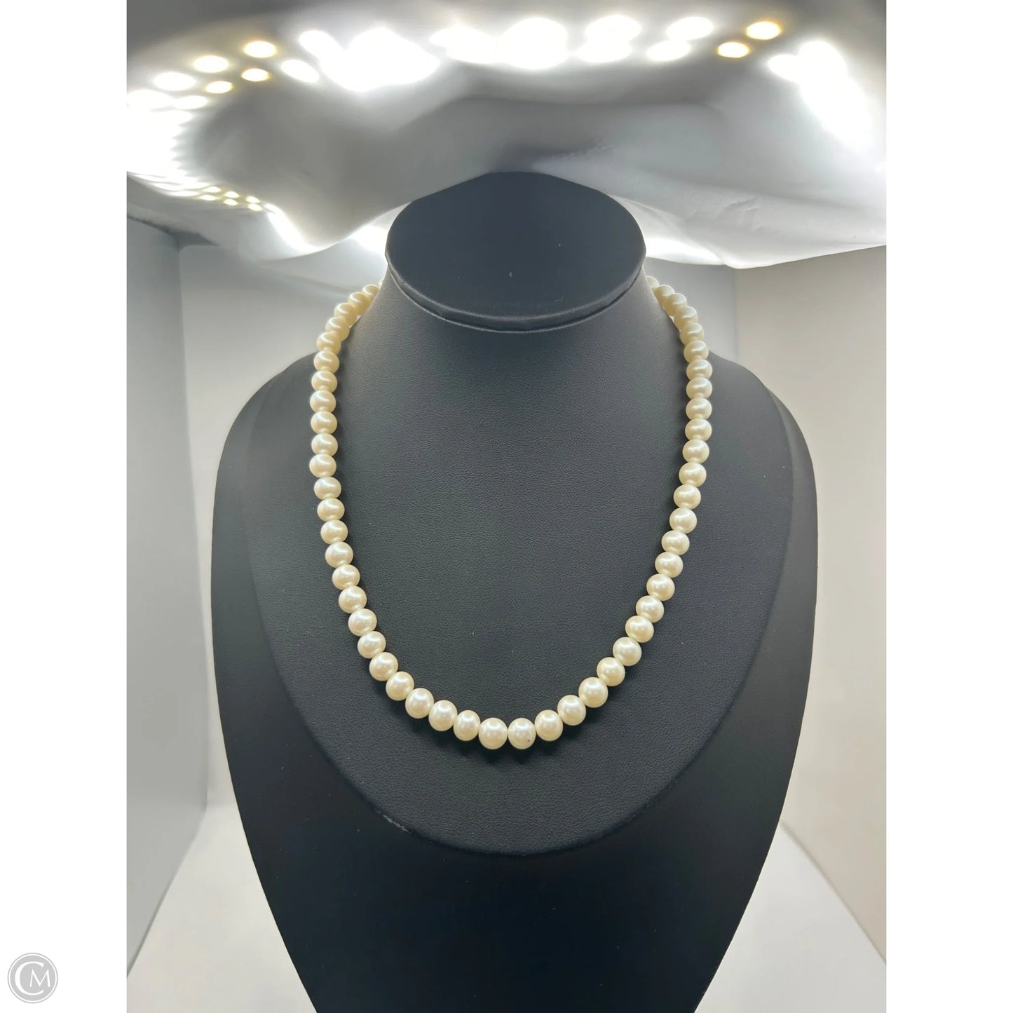 Necklace Chain By Clothes Mentor