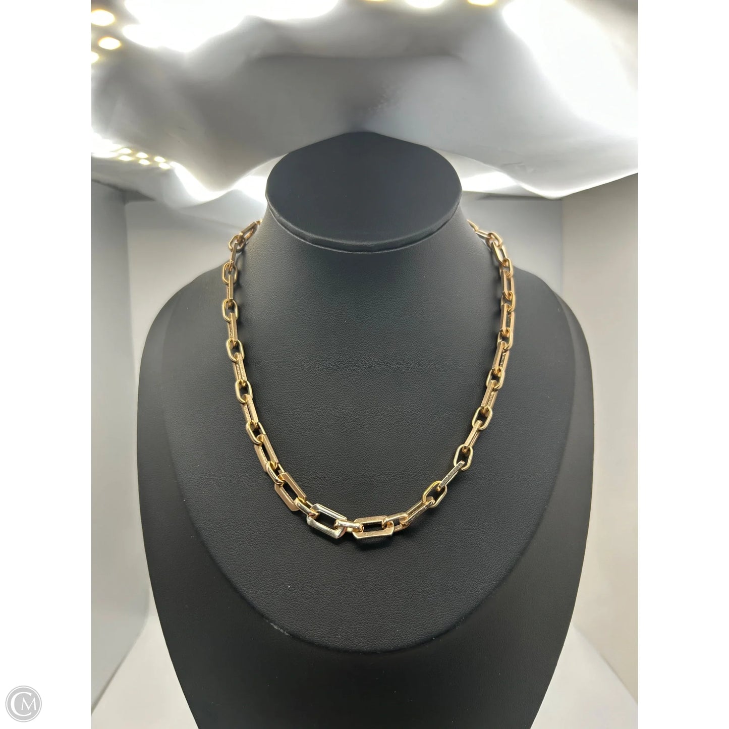 Necklace Chain By Clothes Mentor