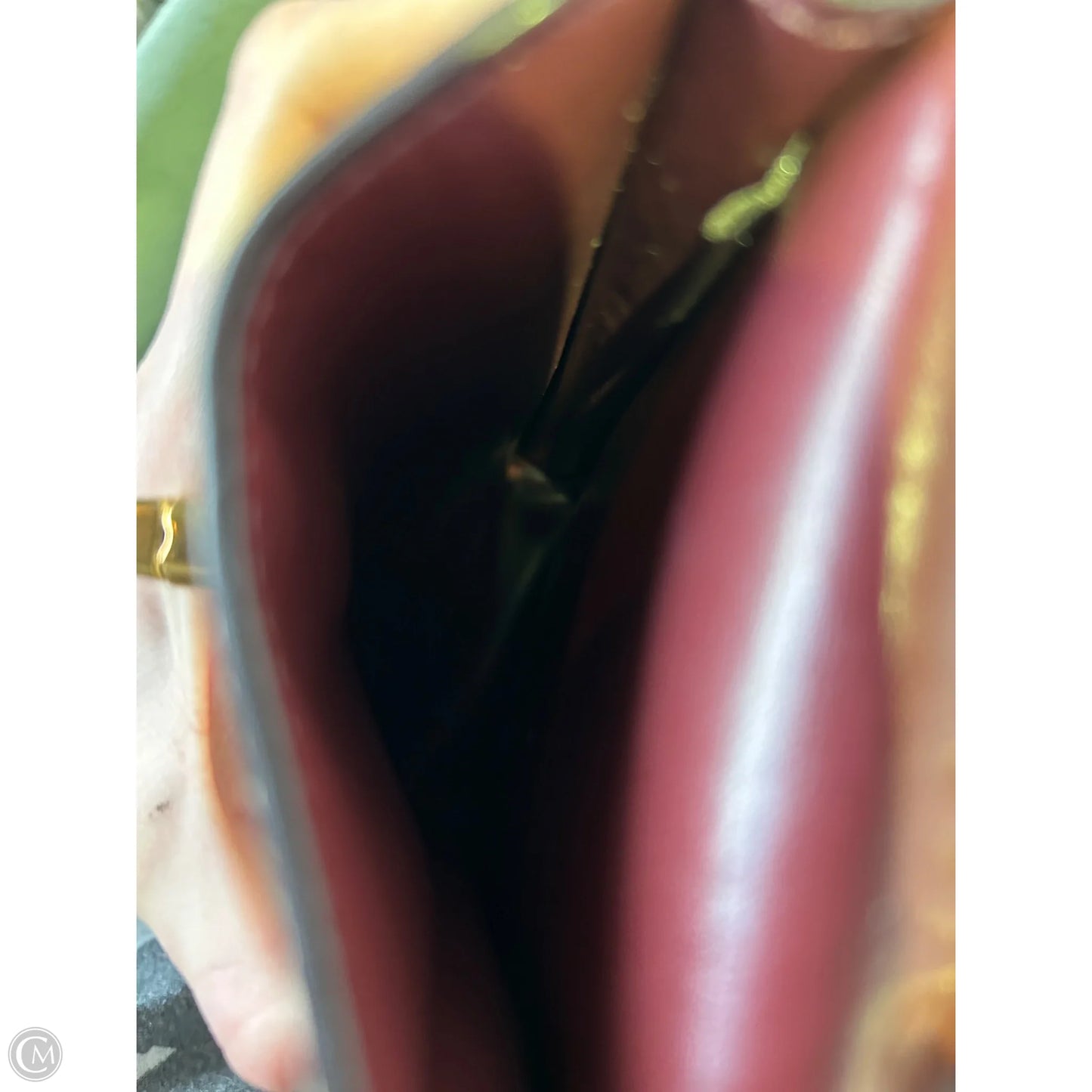 Crossbody Designer By Coach, Size: Small