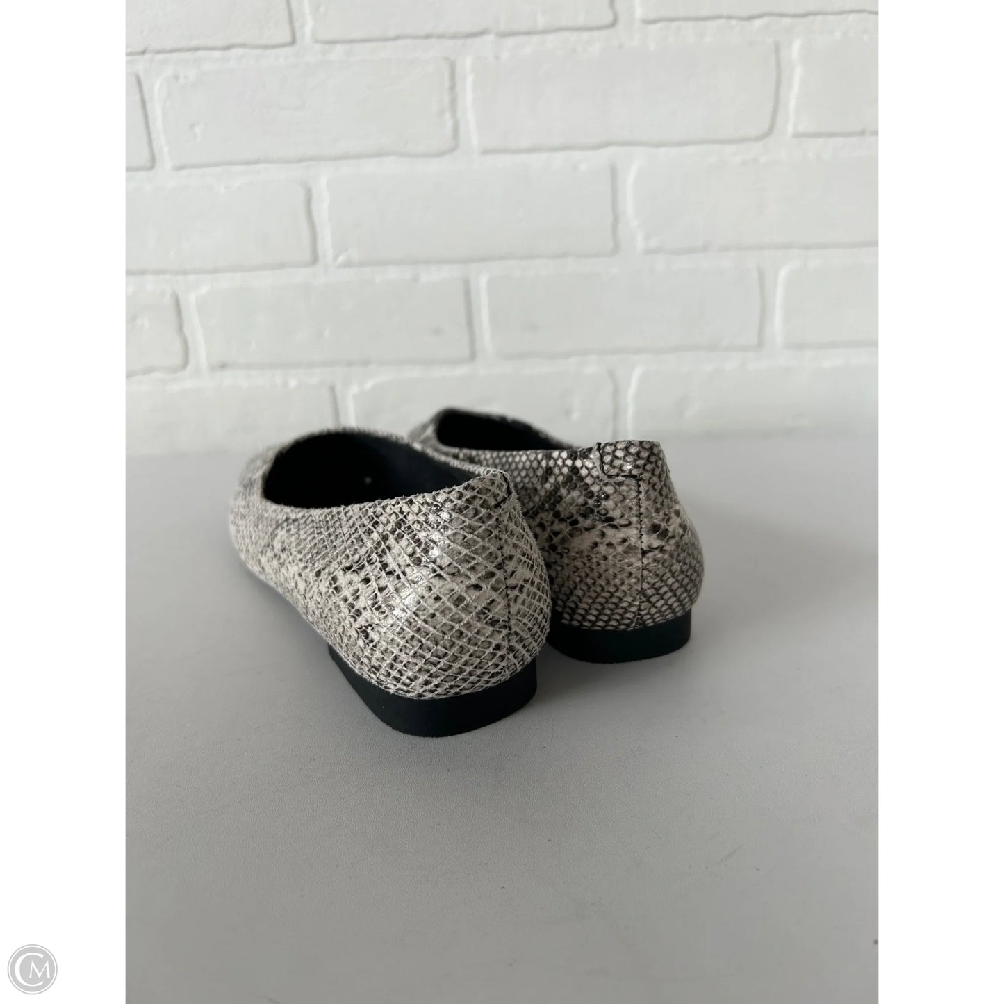 Shoes Flats By Steve Madden In Snakeskin Print, Size: 6.5
