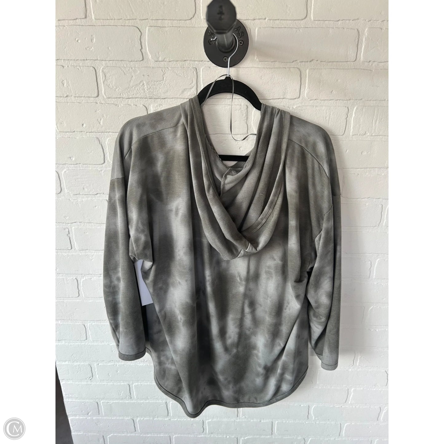 Top Long Sleeve By Cupio In Grey, Size: 2x