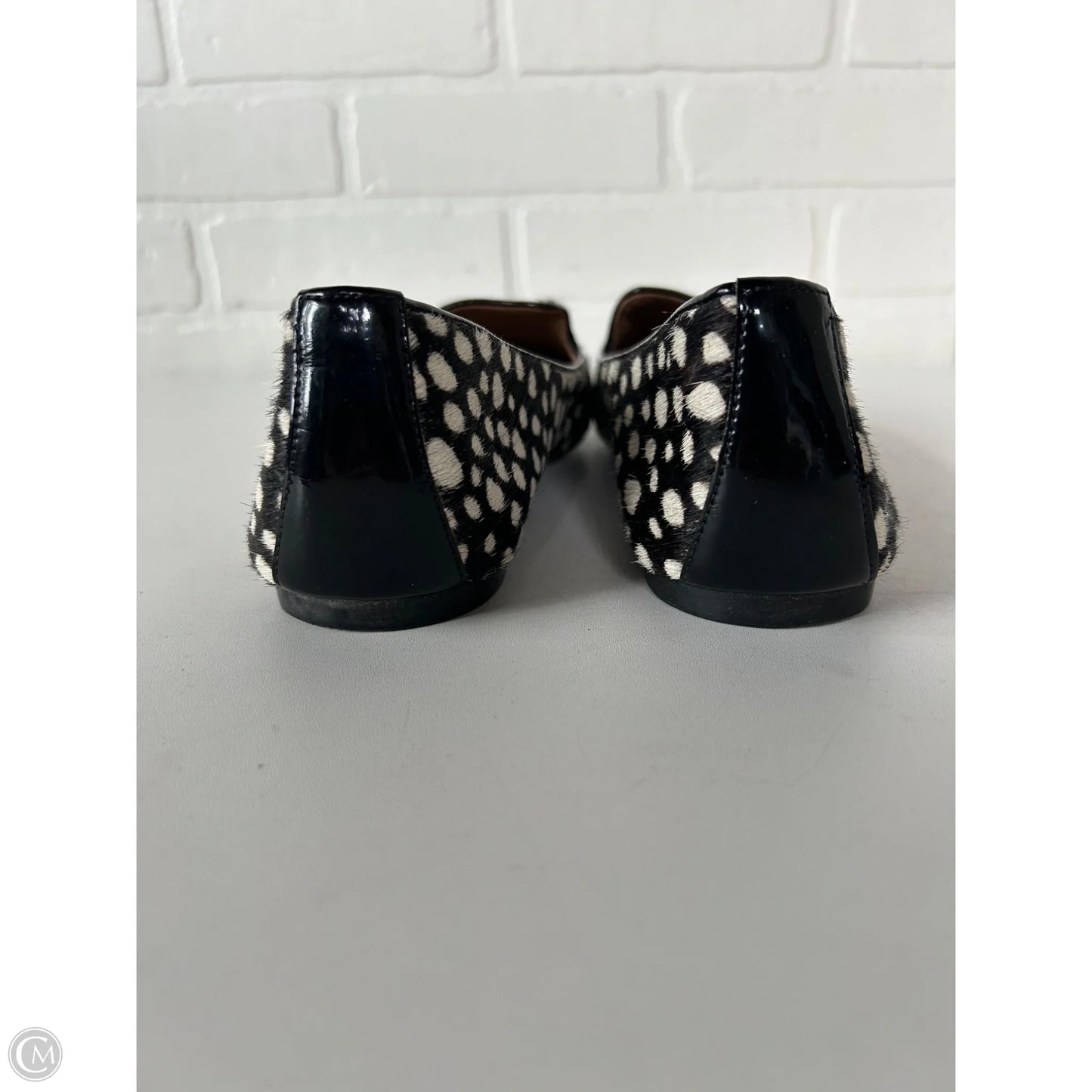 Shoes Flats By Franco Sarto In Black & Cream, Size: 8.5