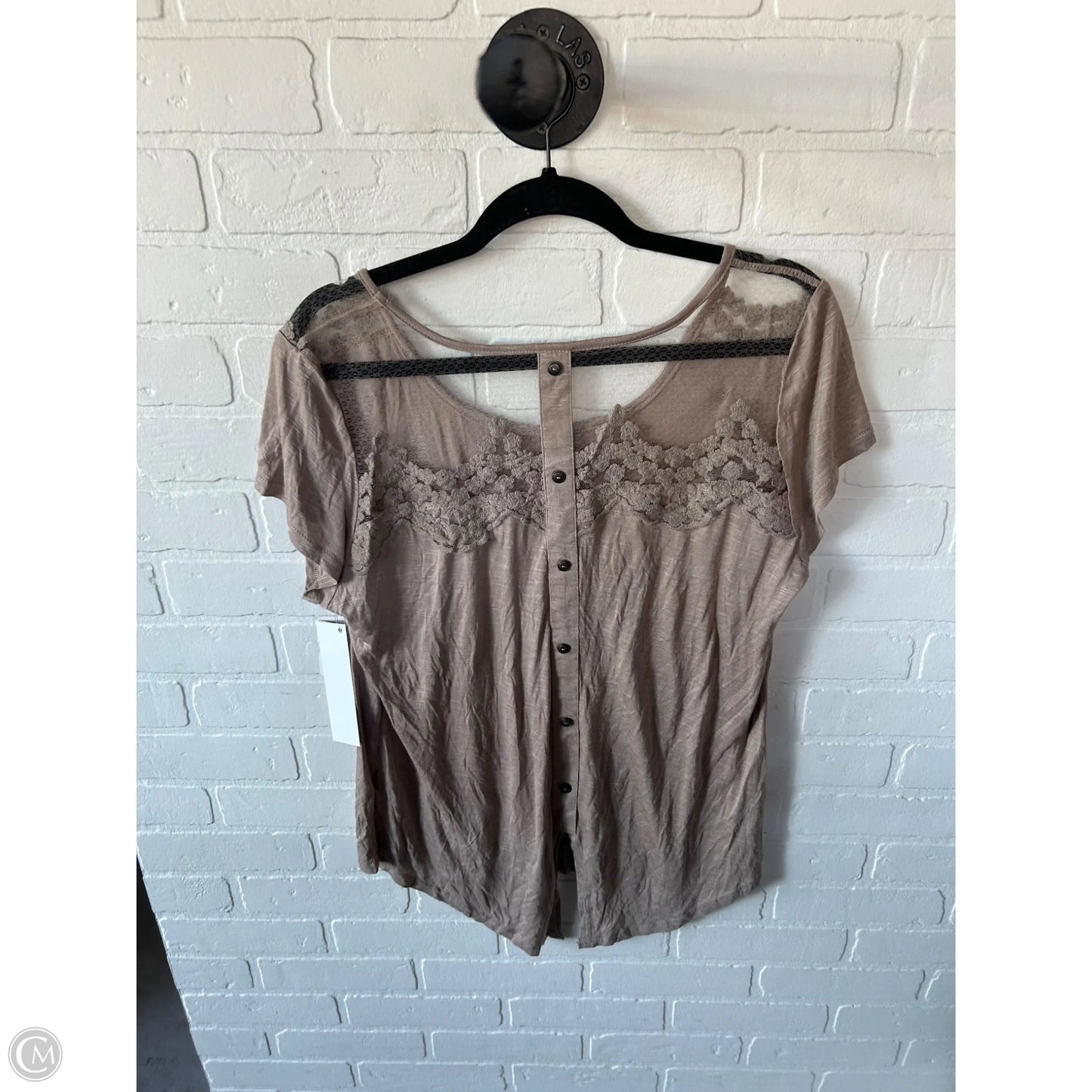 Top Short Sleeve By Sweet Wanderer In Tan, Size: Xl