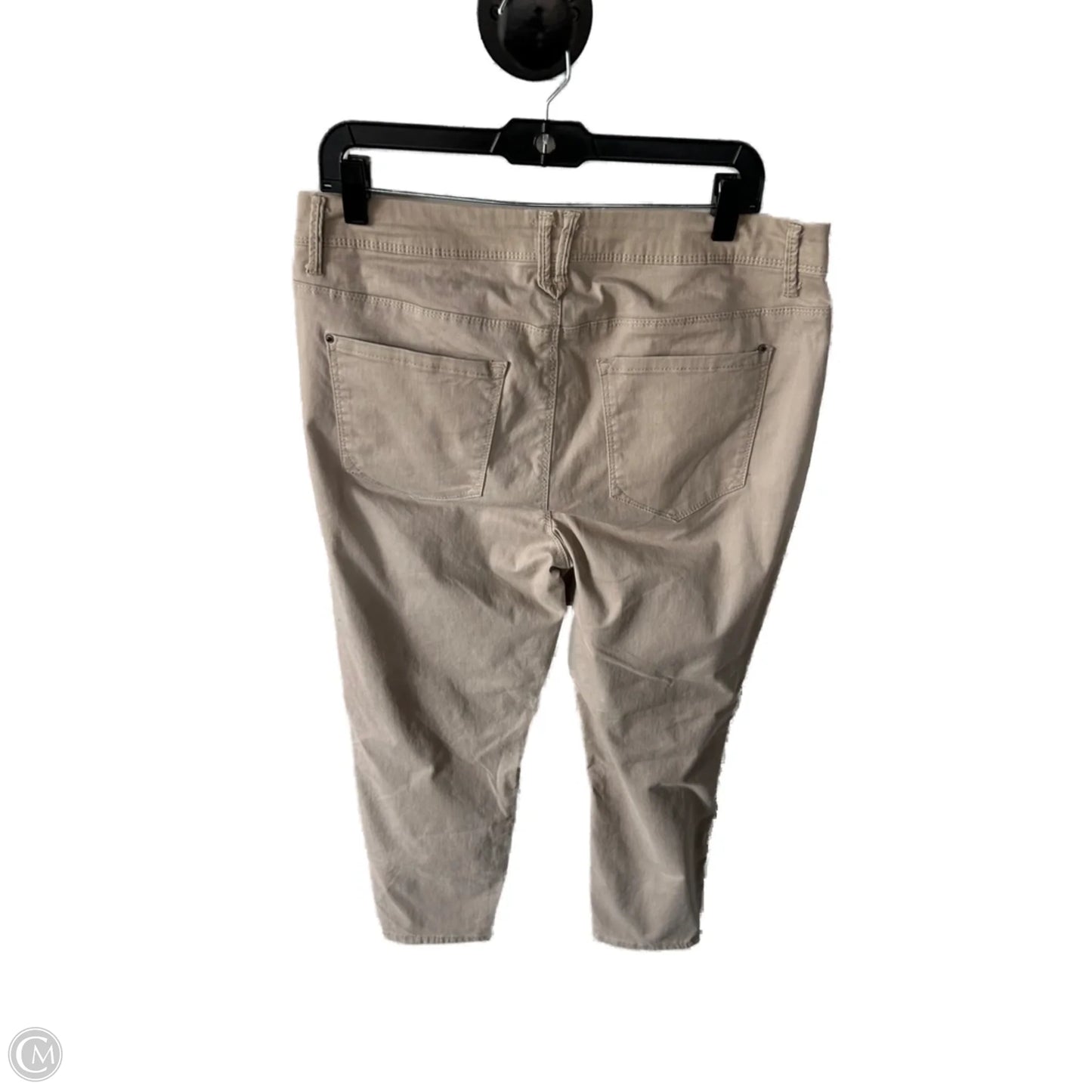 Pants Chinos & Khakis By Curve Appeal In Tan, Size: 14