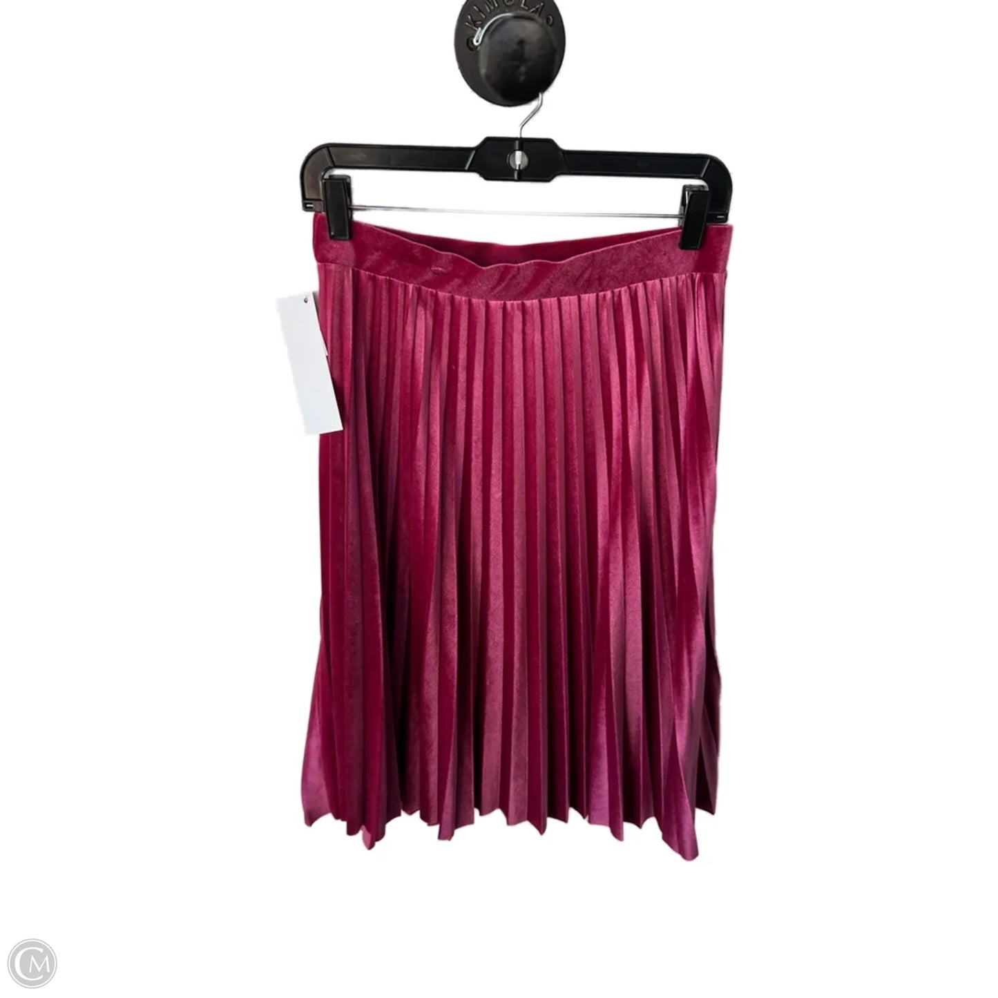 Skirt Midi By Braeve In Pink, Size: 4