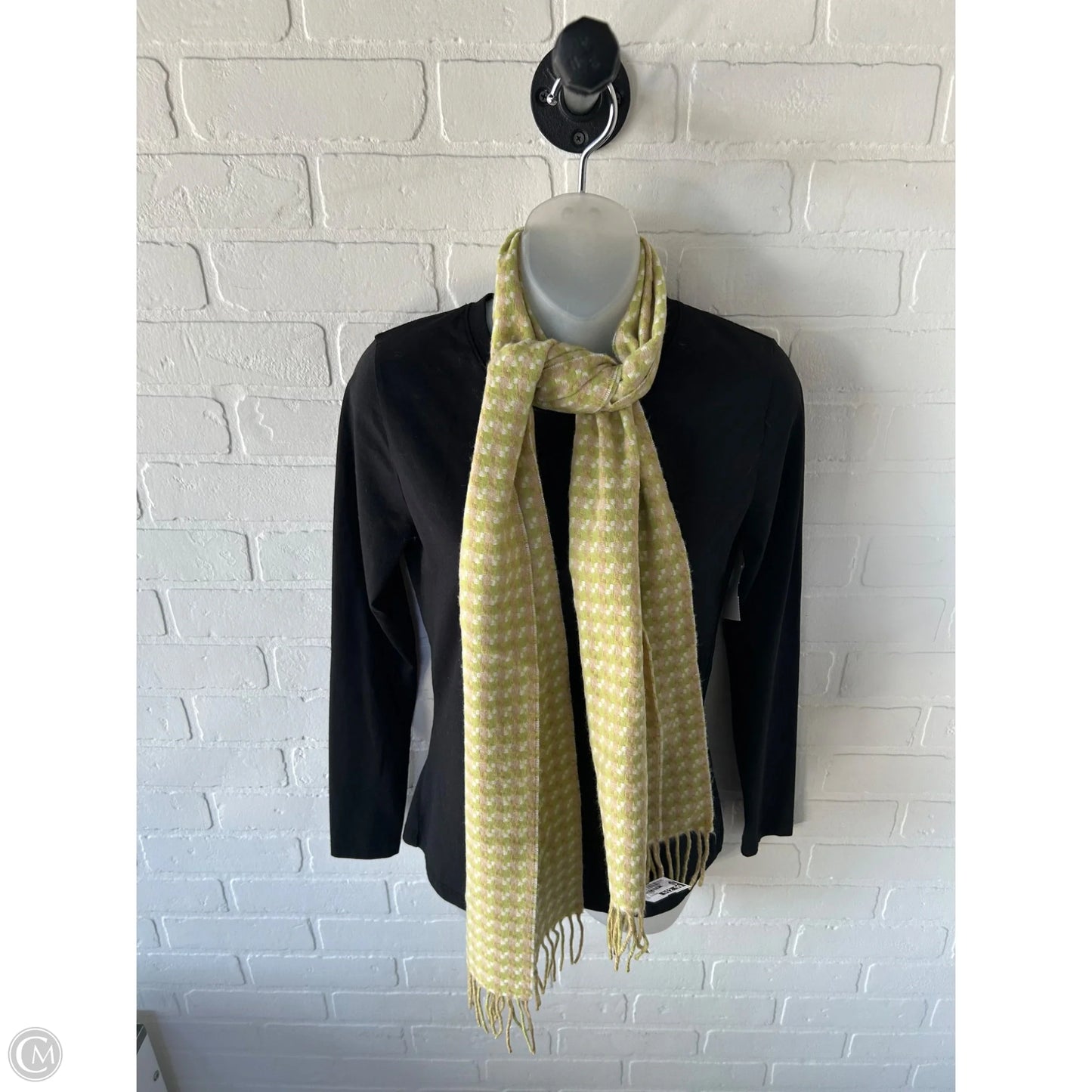 Scarf Winter By Clothes Mentor In Green & Tan