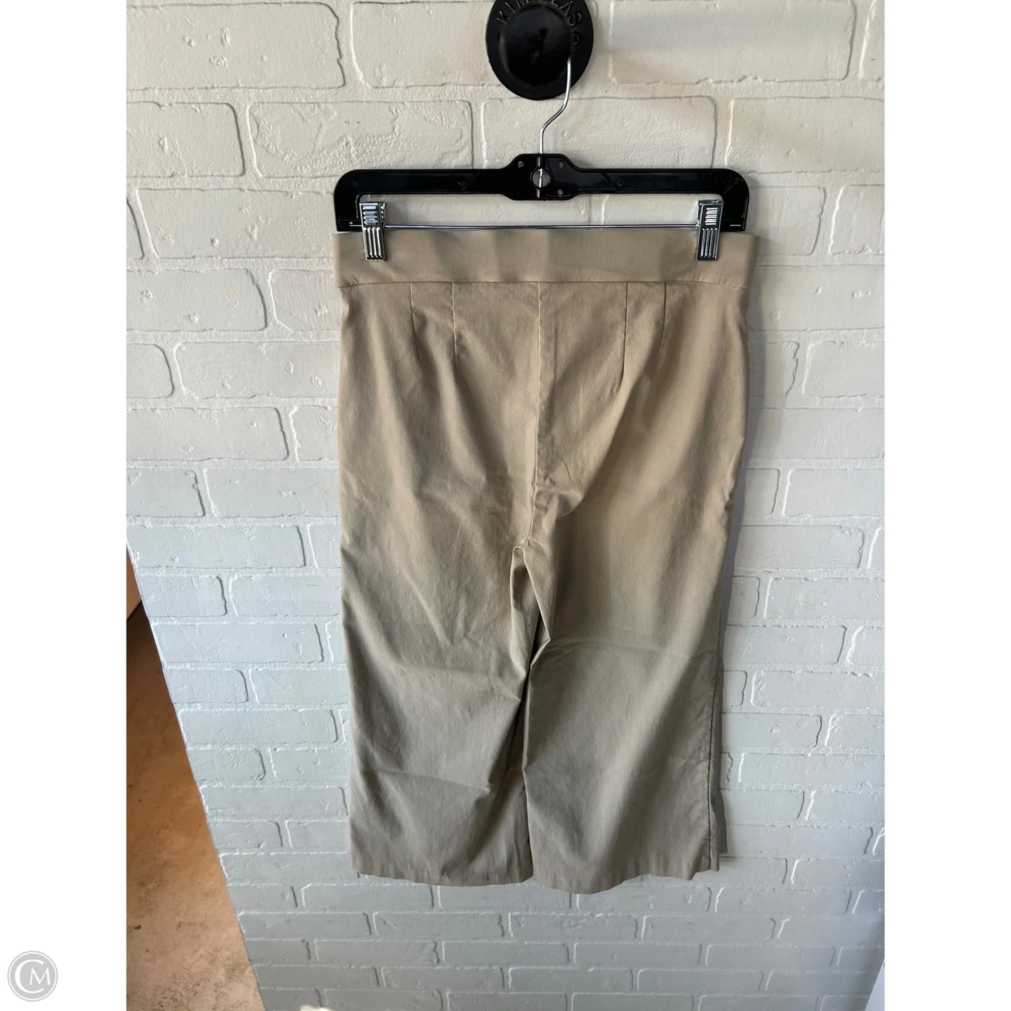 Pants Wide Leg By Counterparts In Tan, Size: 4