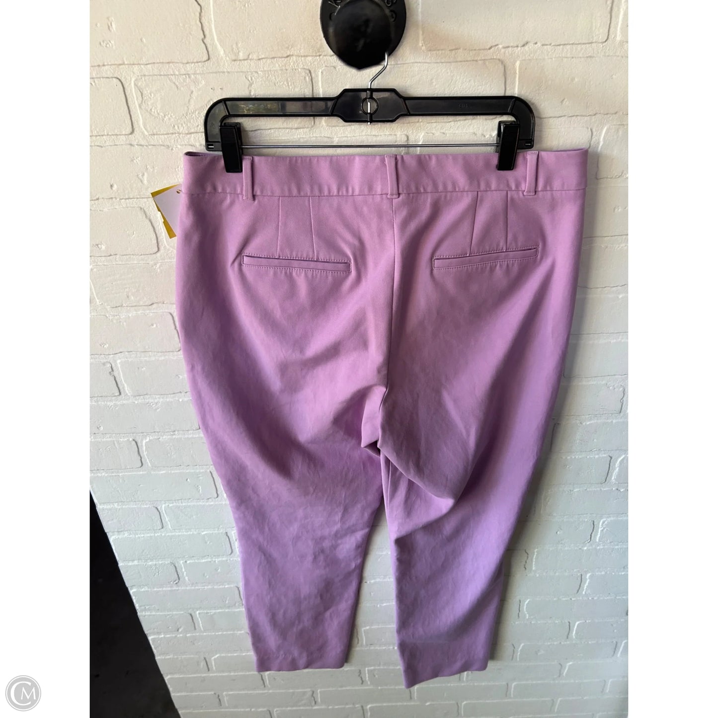 Pants Dress By White House Black Market In Purple, Size: 14