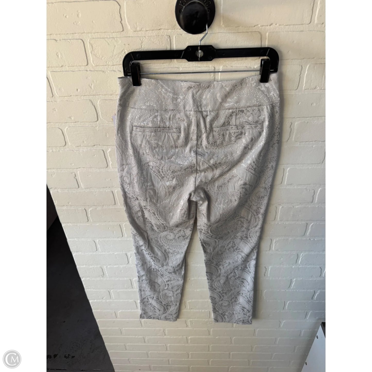 Pants Other By Soft Surroundings In Silver, Size: 4
