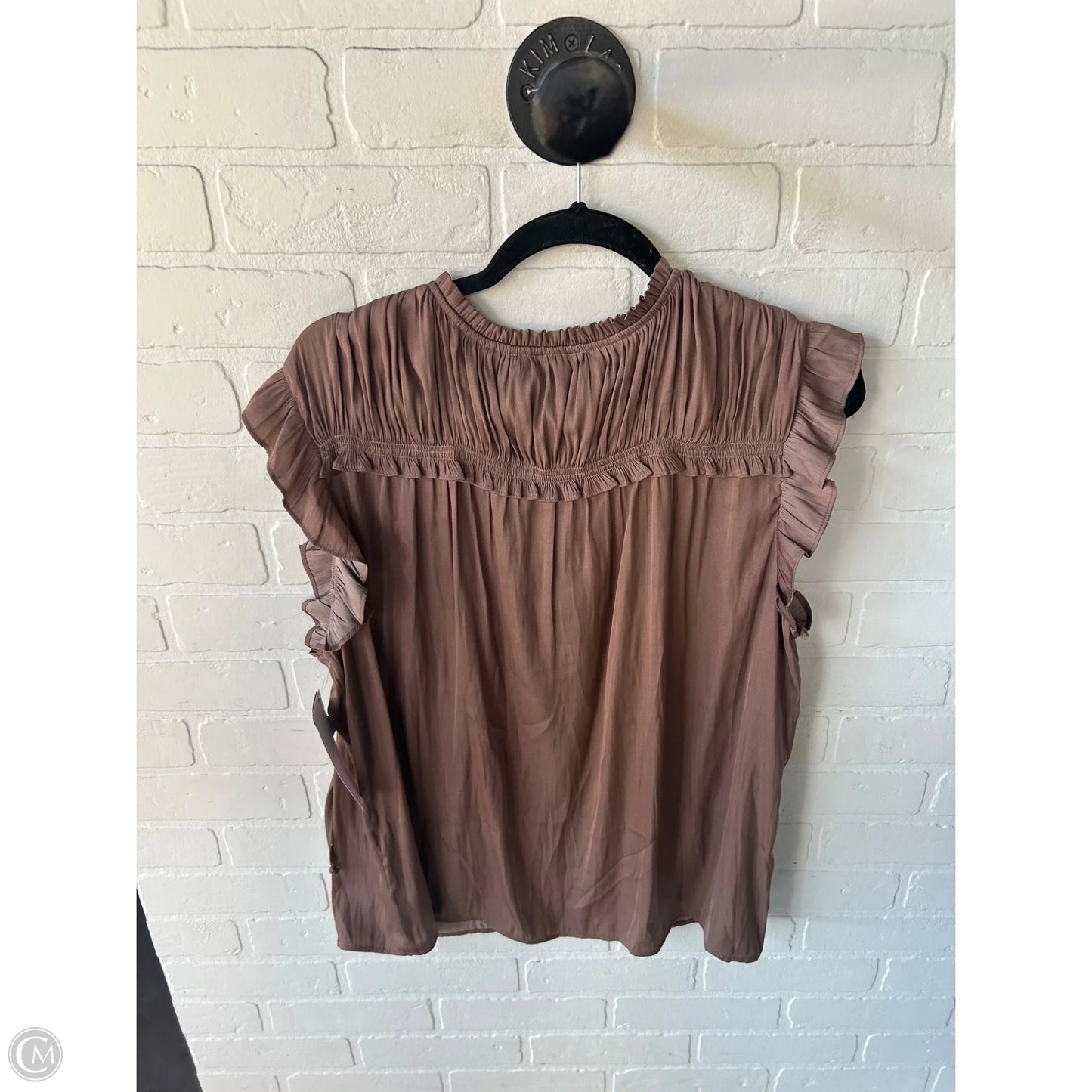 Top Short Sleeve By Dr2 In Tan, Size: Xl