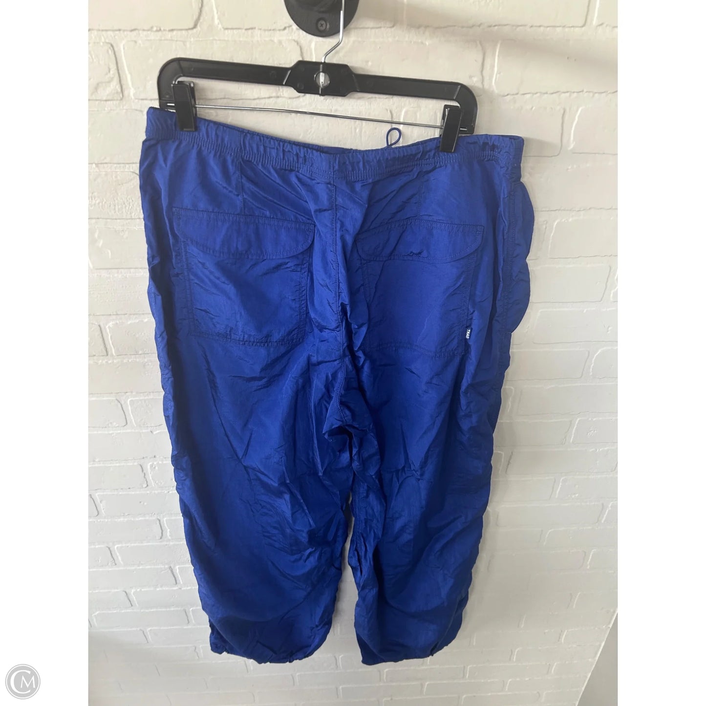 Pants Joggers By Tna In Blue, Size: 12