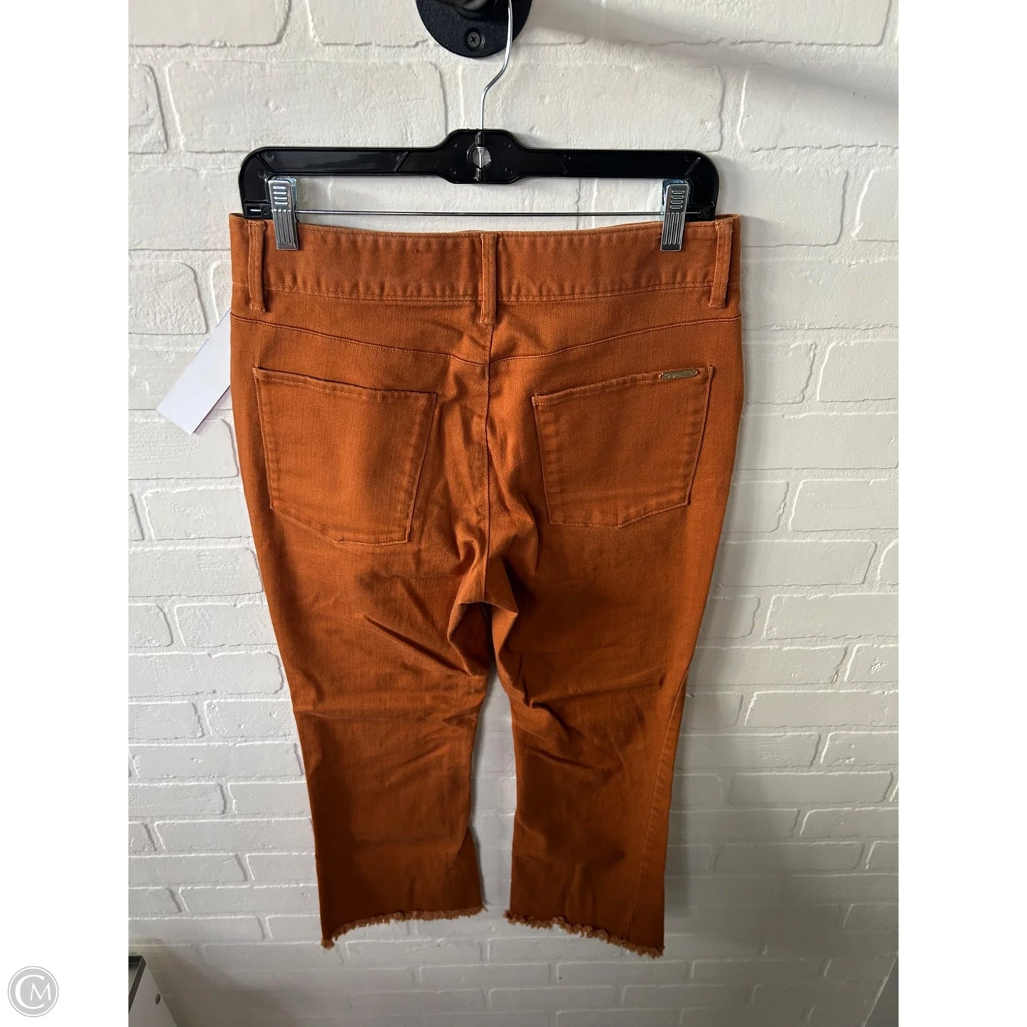 Pants Other By Spartina In Brown, Size: 8