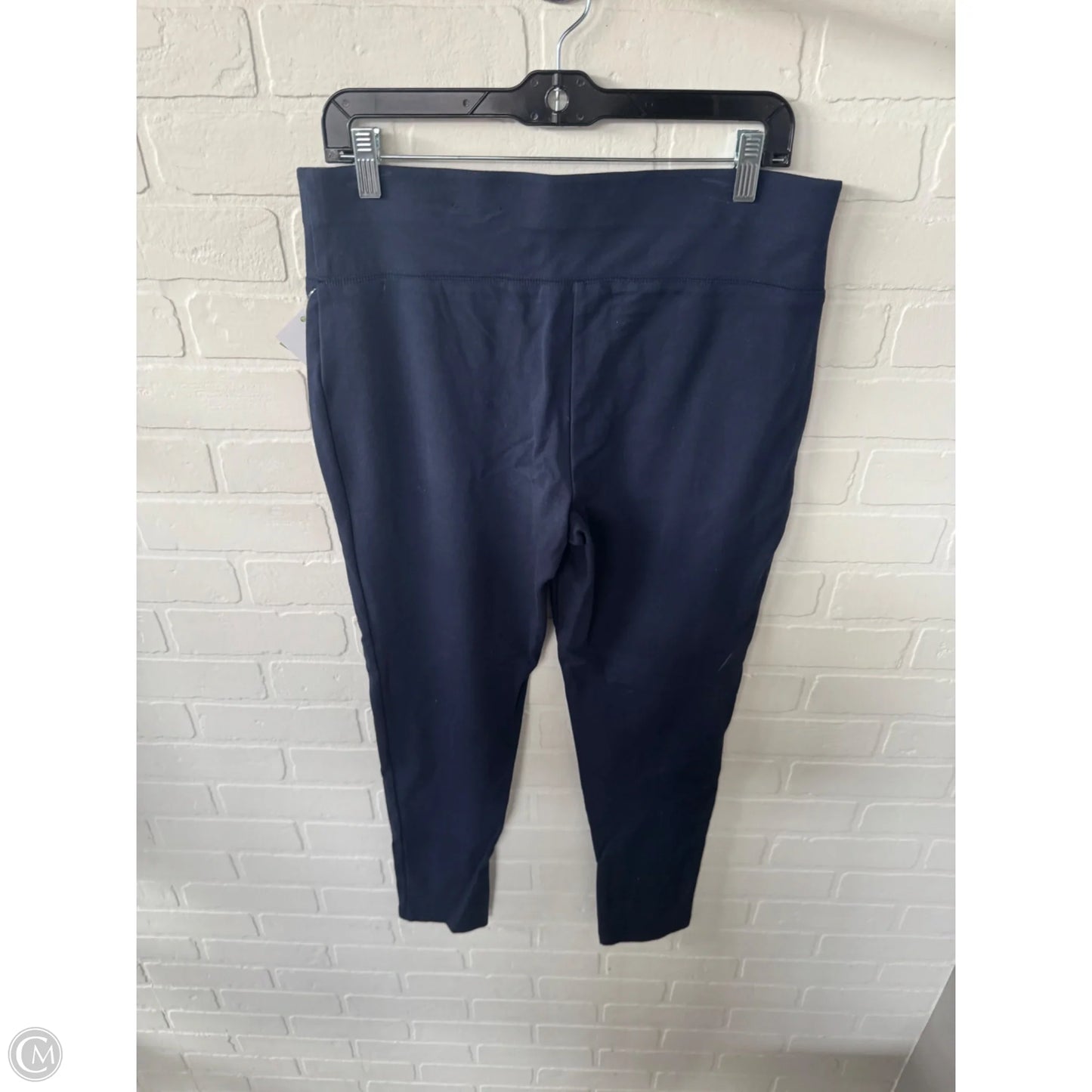 Pants Leggings By Inc In Blue, Size: 14