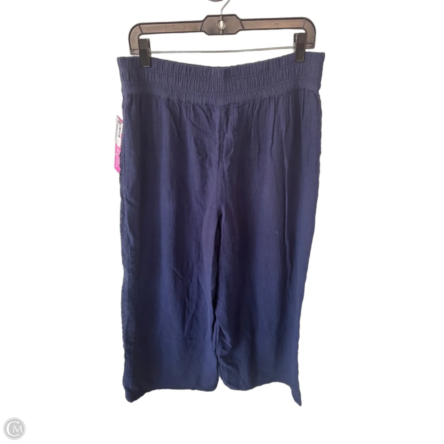 Pants Linen By Aerie In Blue, Size: 12
