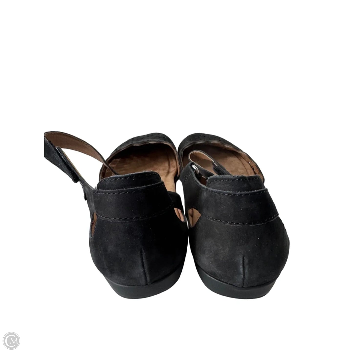 Shoes Flats By Earth Origins In Black, Size: 11
