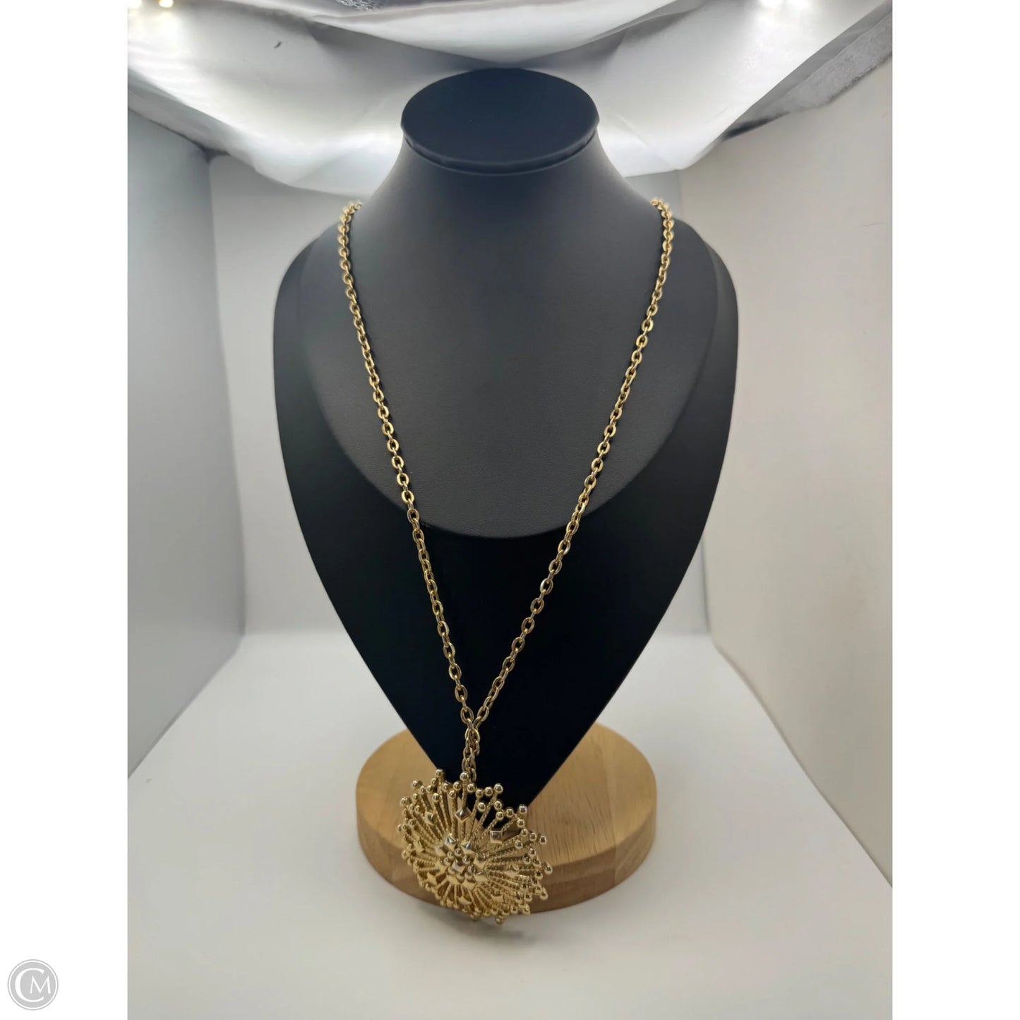 Necklace Pendant By Clothes Mentor