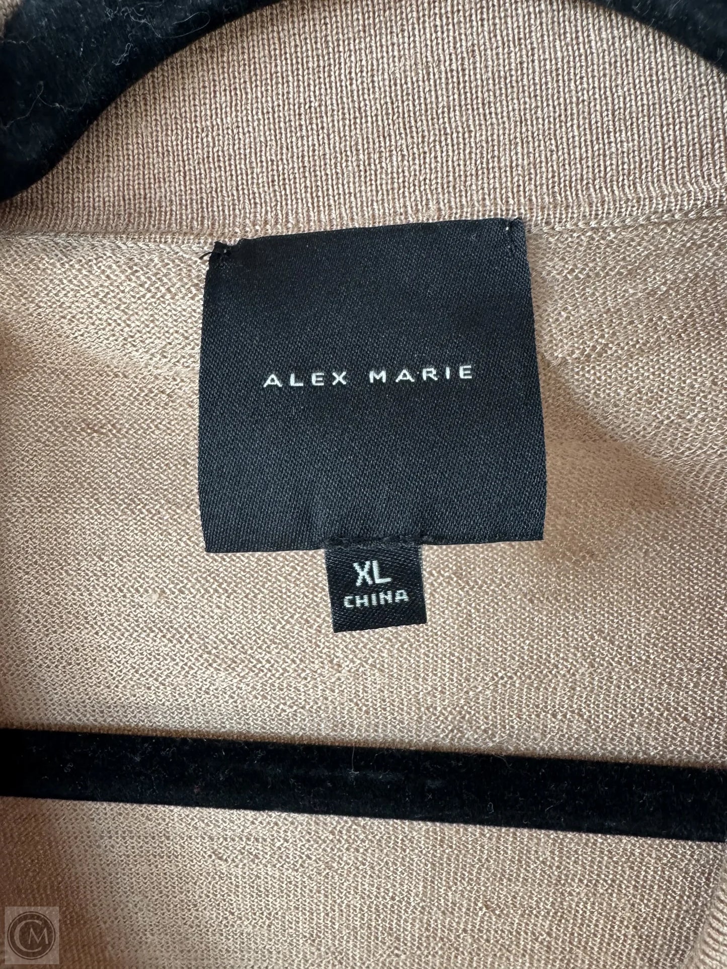 Sweater By Alex Marie In Tan, Size: Xl