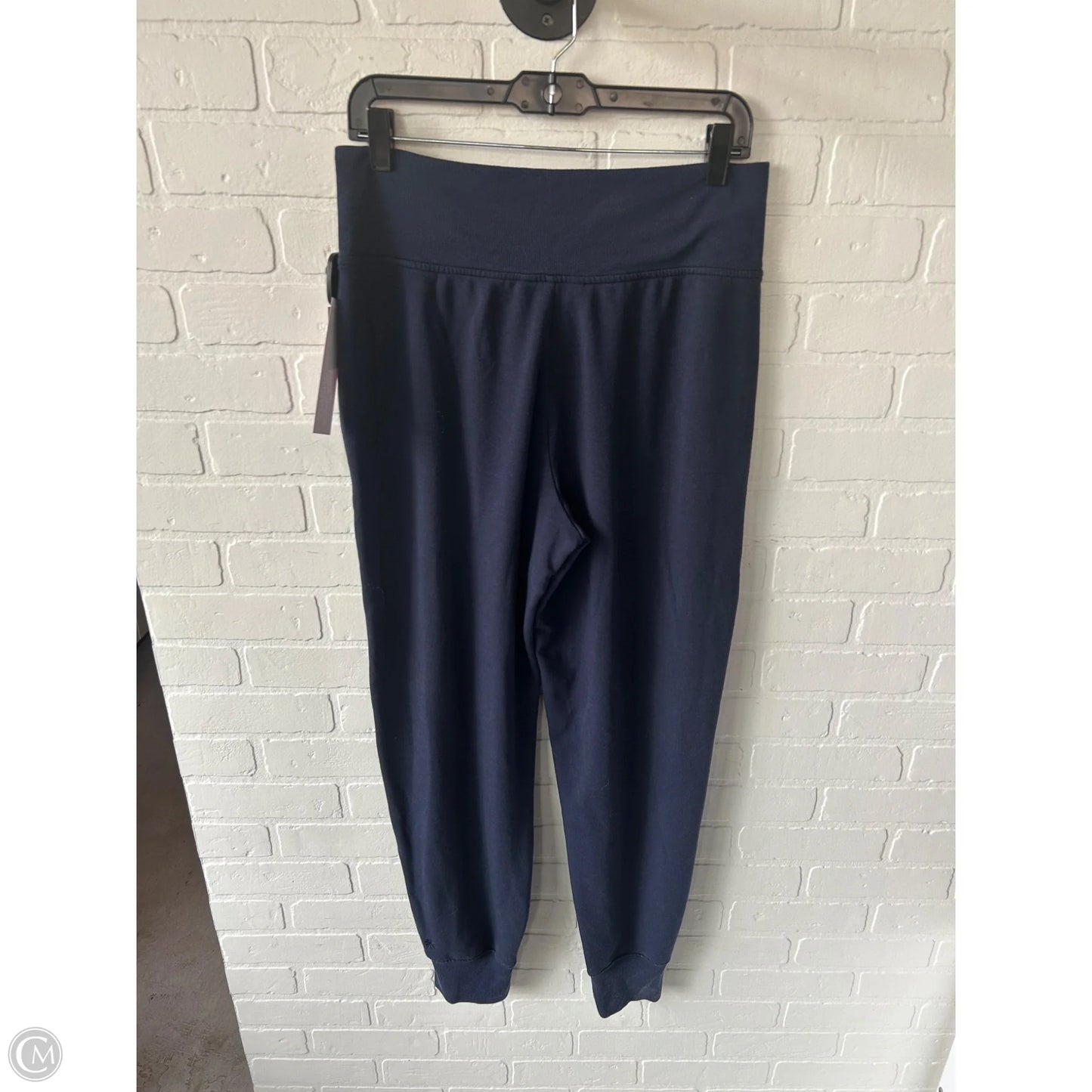 Athletic Pants By Athleta In Blue, Size: 10