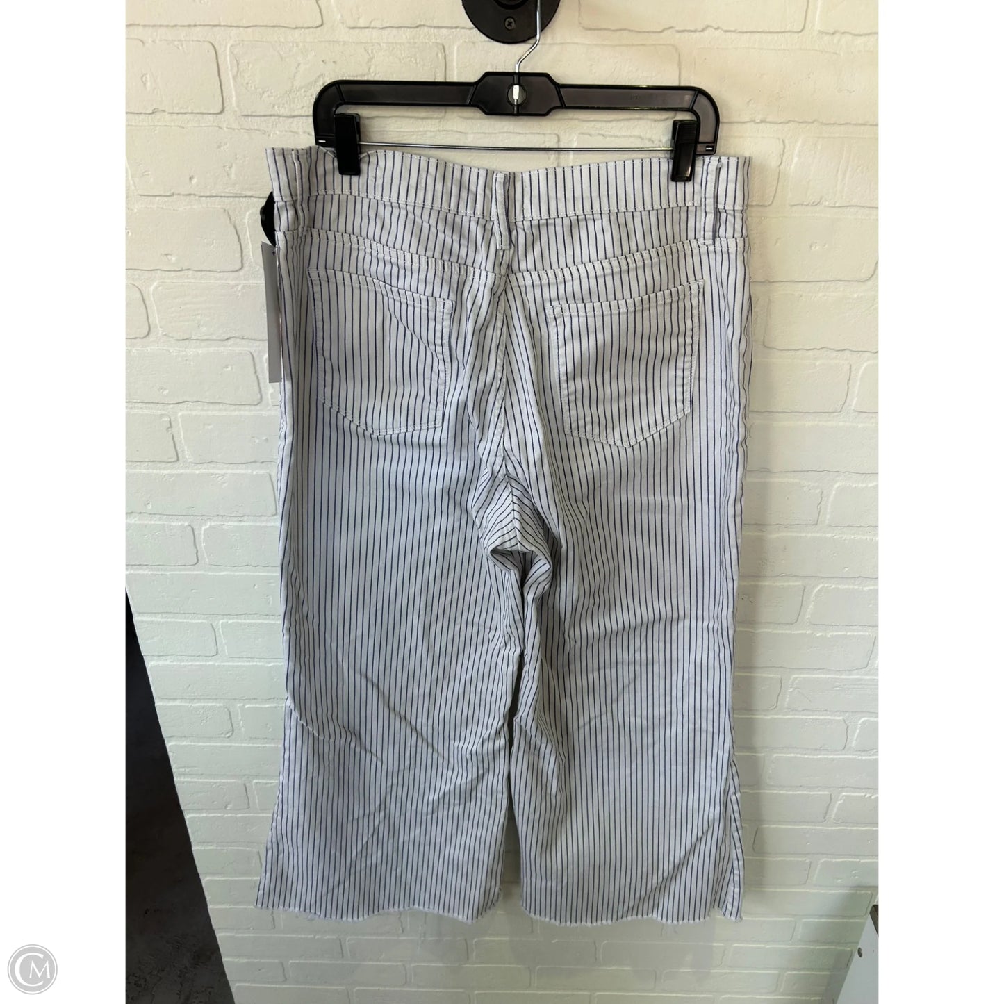 Jeans Flared By Frame In Blue & Cream, Size: 16