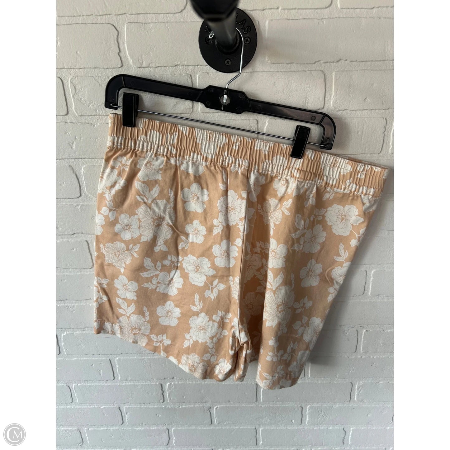 Shorts By Jachs Girlfirend In Peach, Size: 12