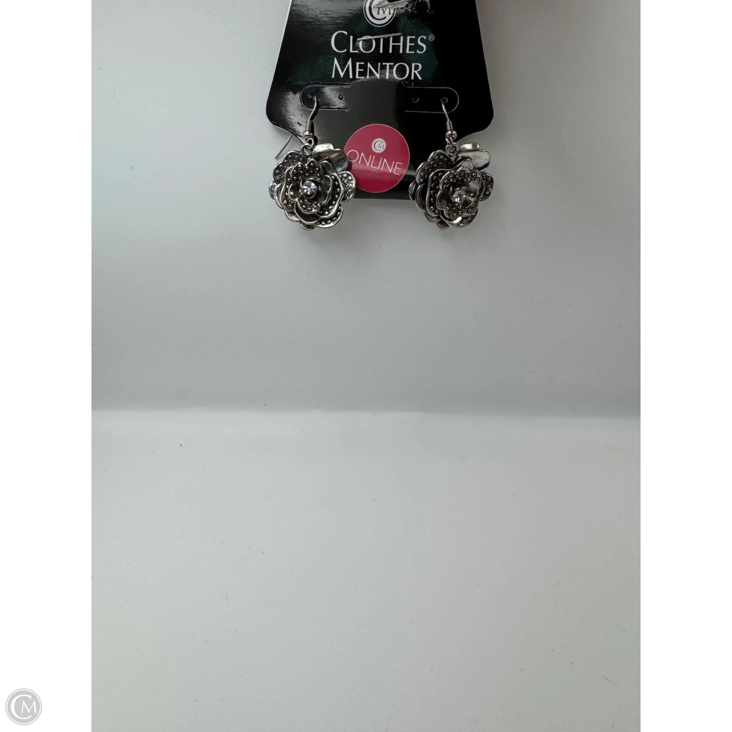 Earrings Dangle/drop By Clothes Mentor