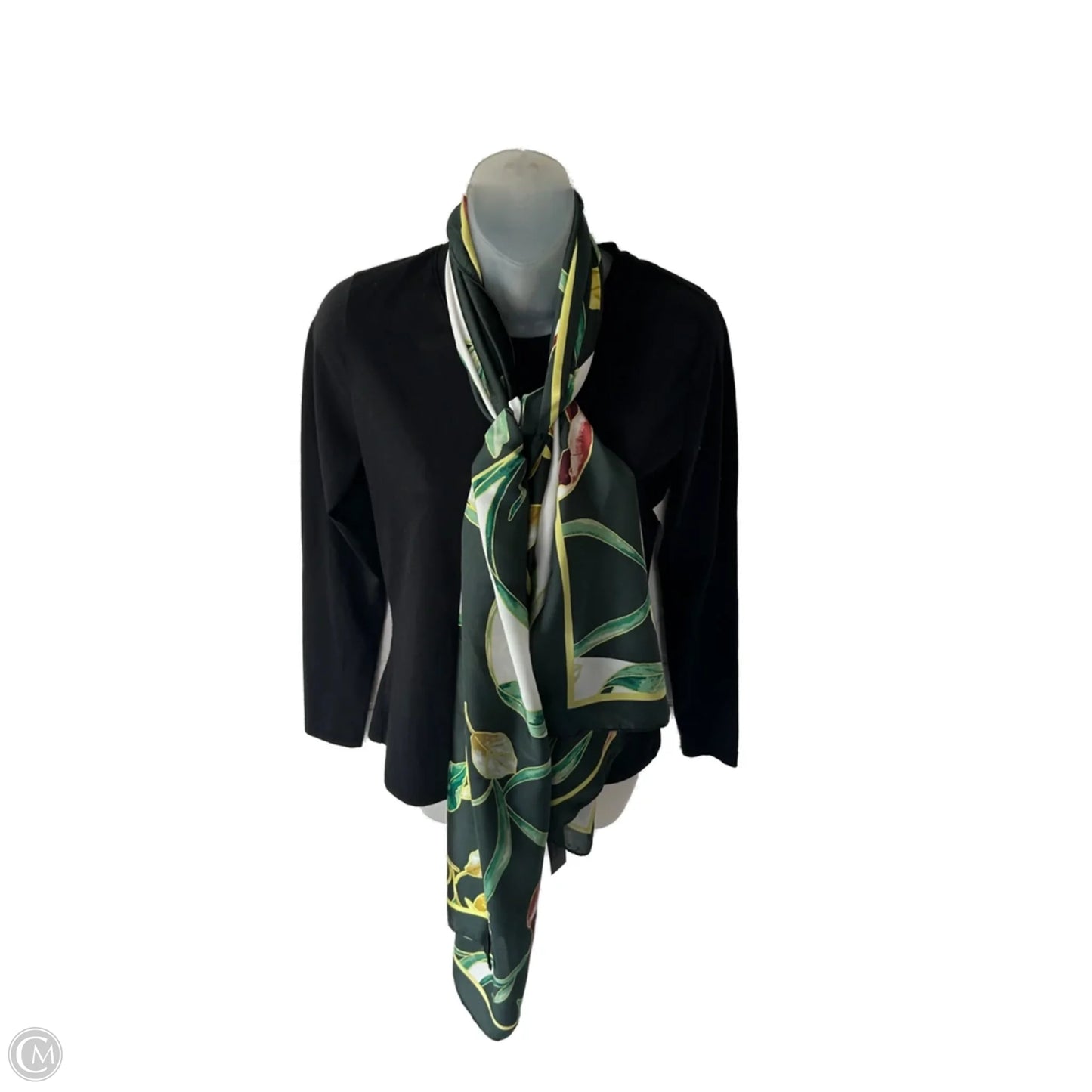 Scarf Long By White House Black Market