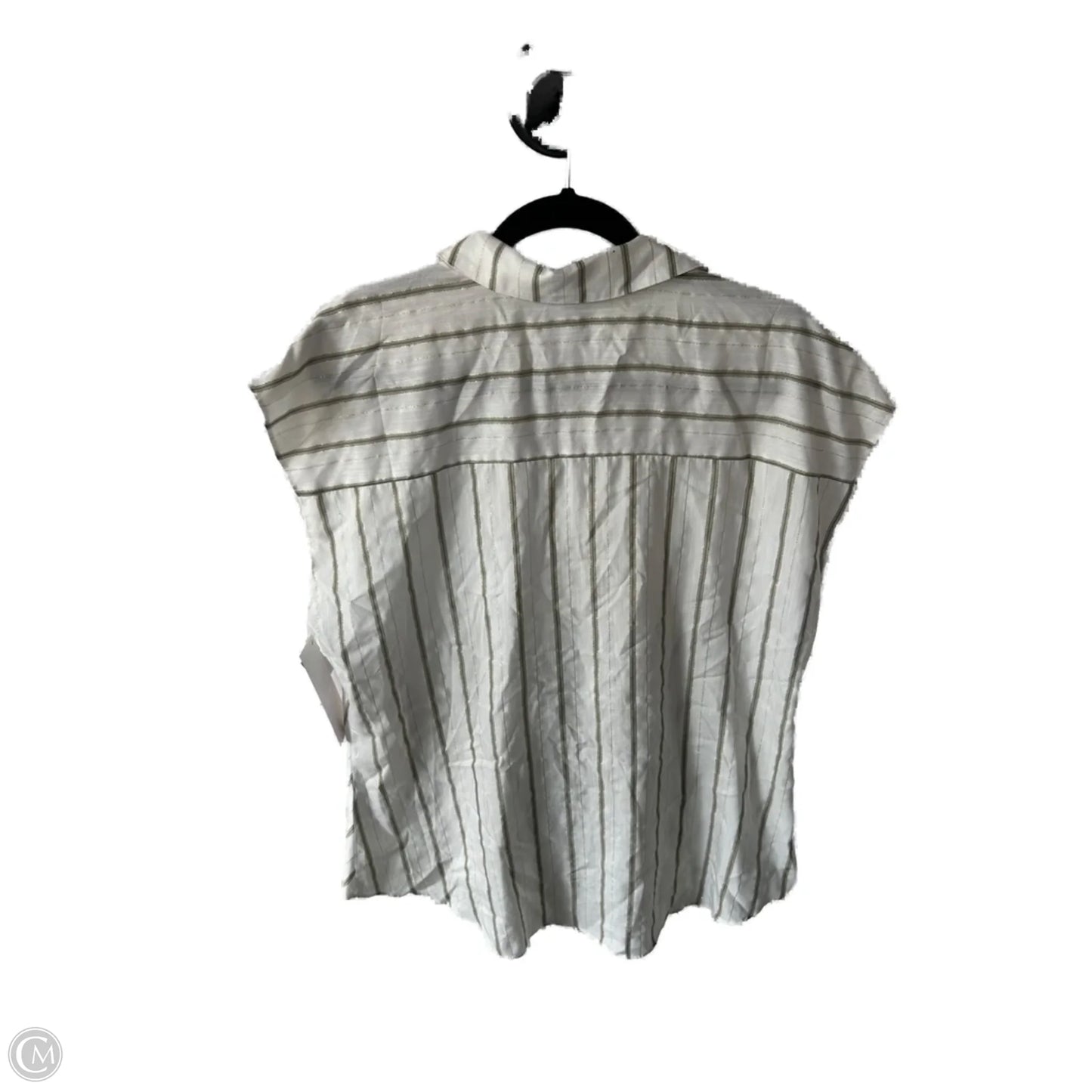 Top Sleeveless By Ellen Tracy In Green & White, Size: Xl