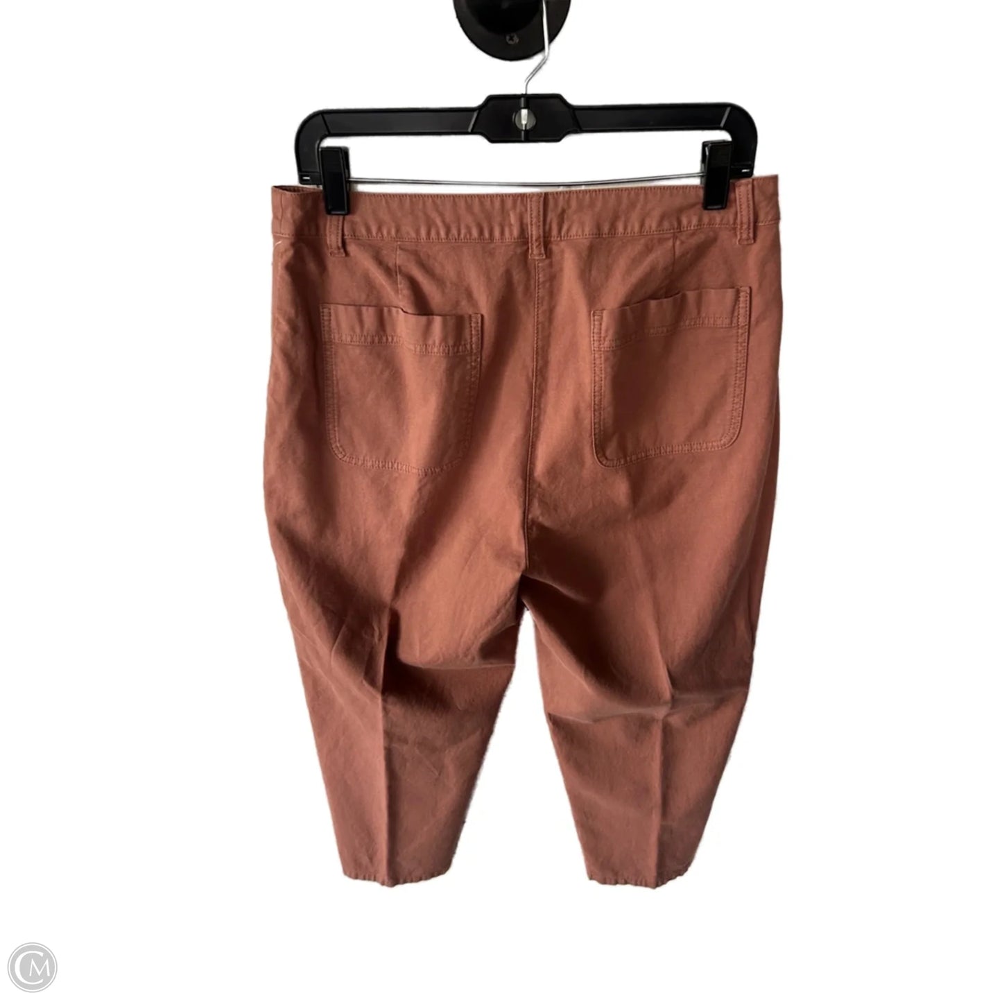 Pants Other By Eileen Fisher In Orange, Size: 10p