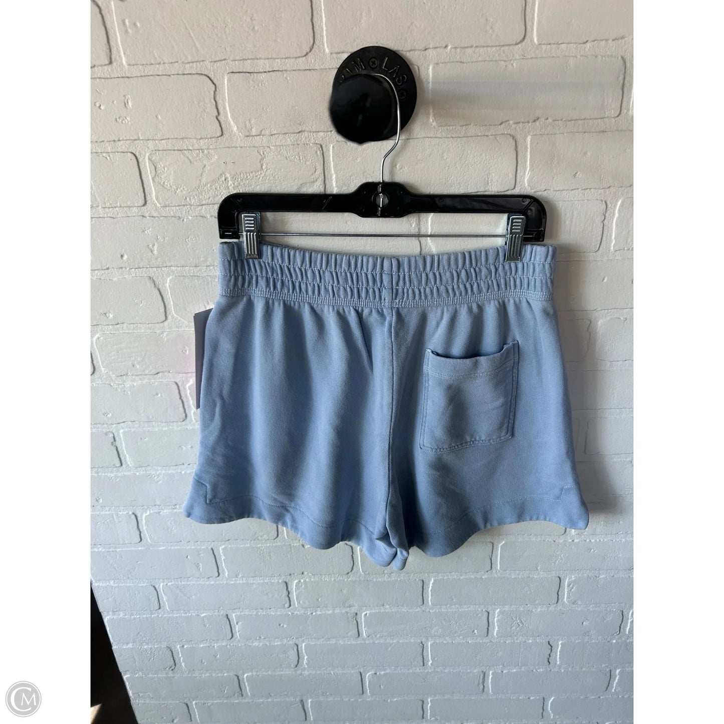 Shorts By Aerie In Blue, Size: 8