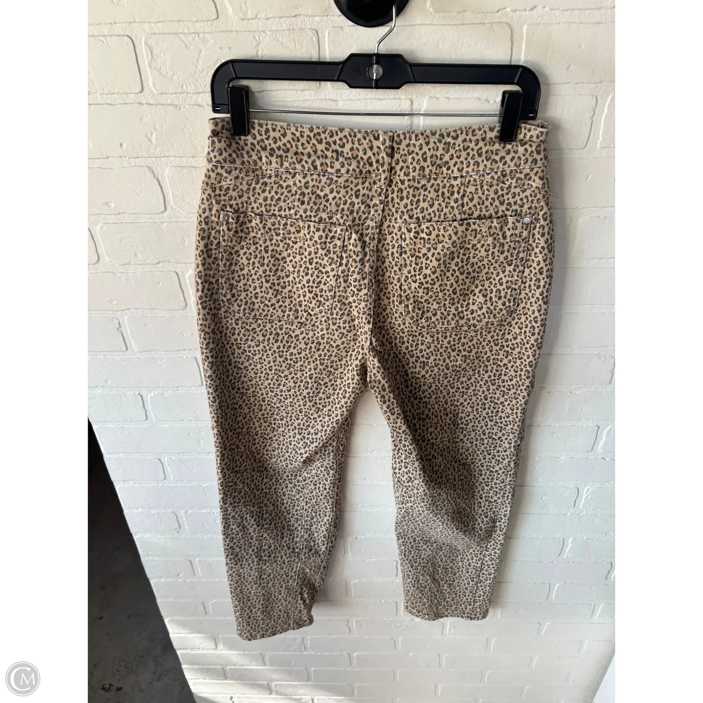 Jeans Straight By Pilcro In Tan, Size: 4