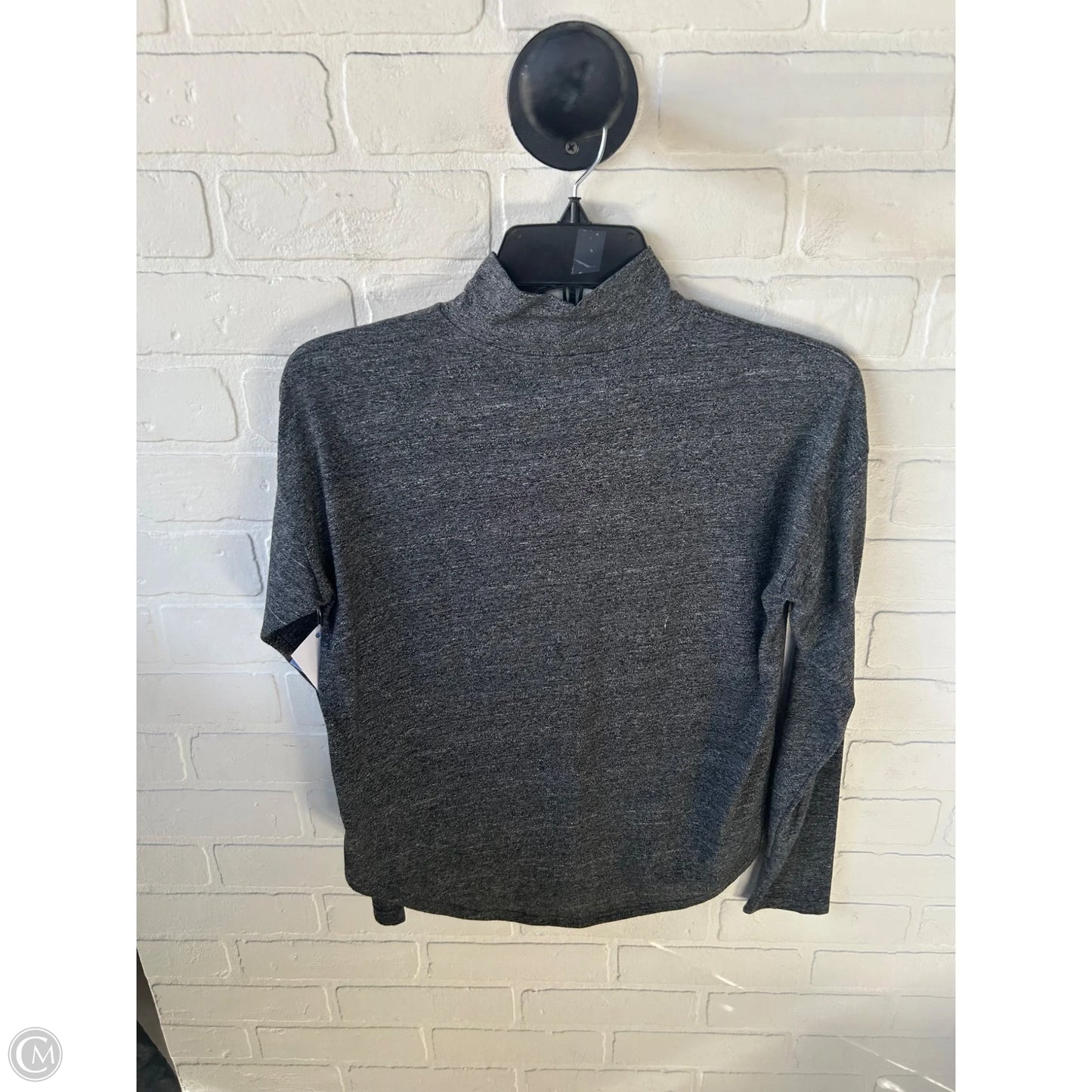 Top Long Sleeve Basic By Rachel Zoe In Grey, Size: Xs