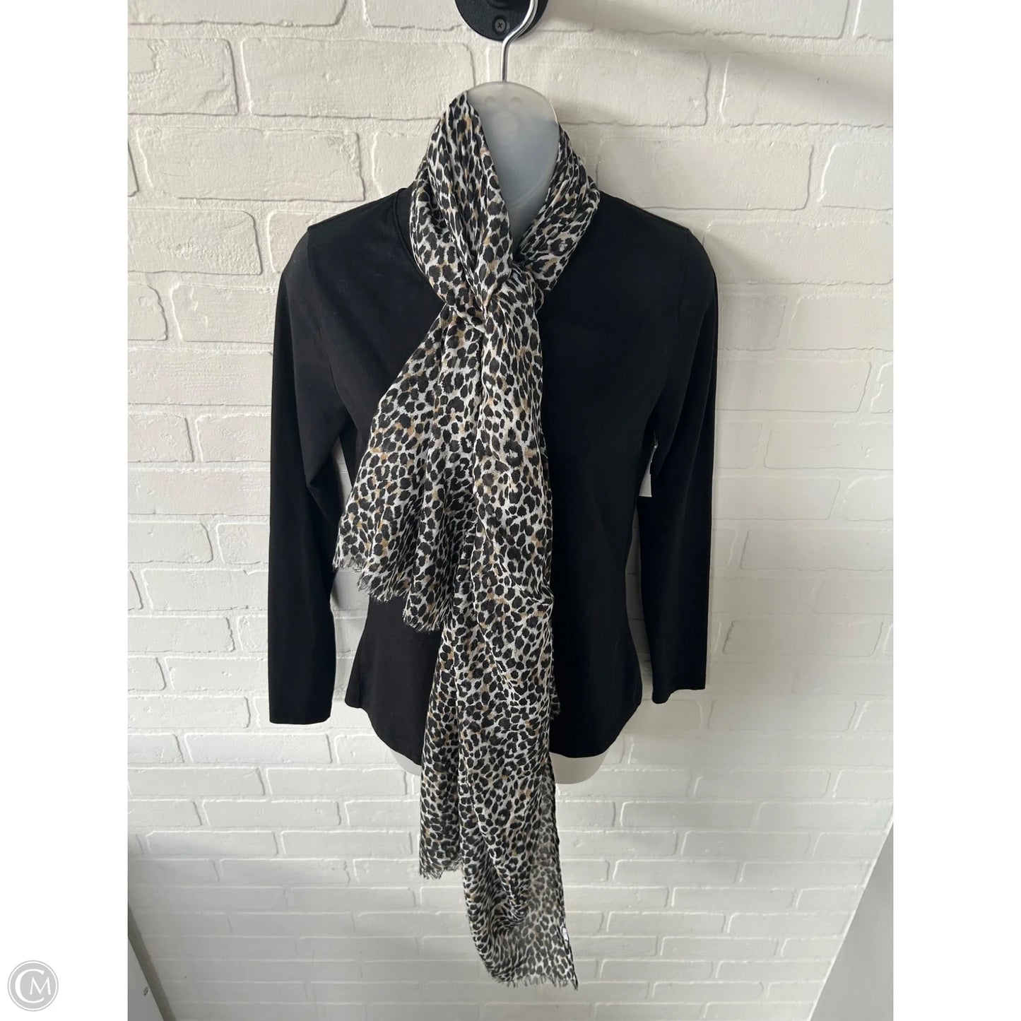 Scarf Long By Clothes Mentor