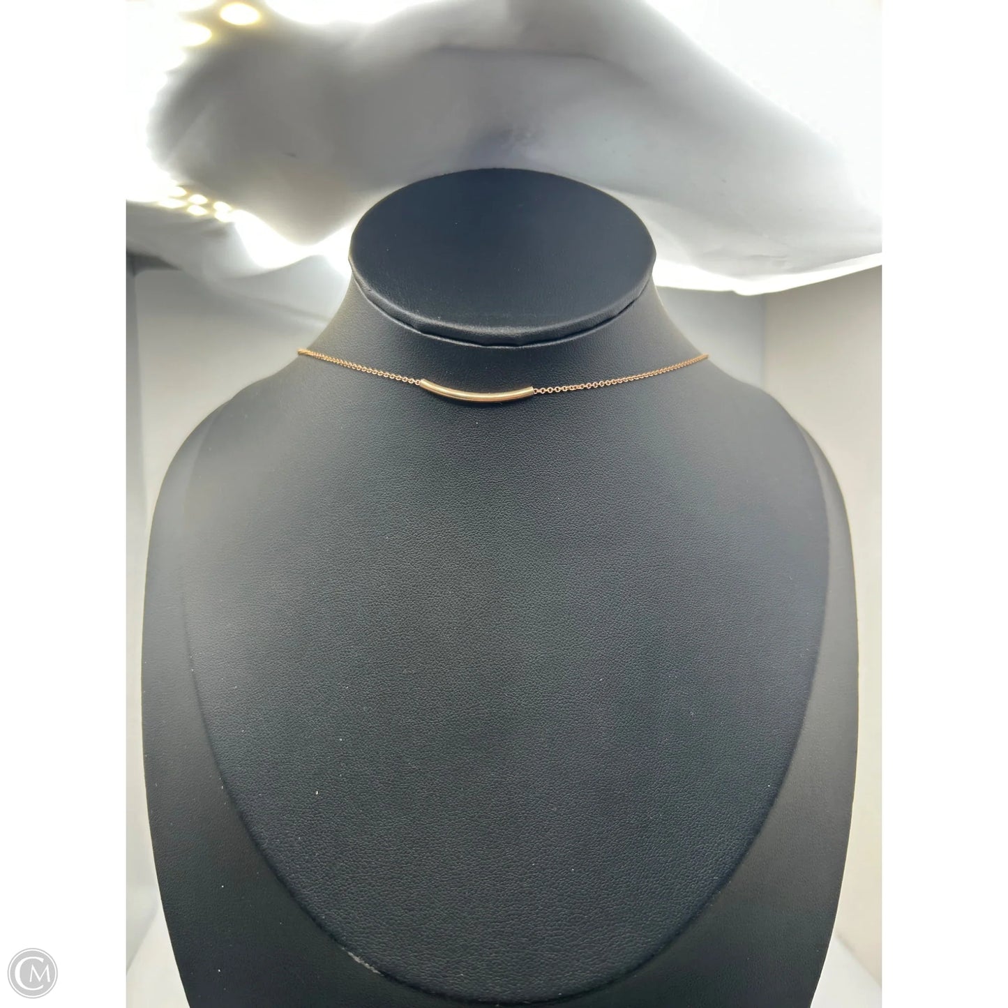 Necklace Chain By Clothes Mentor