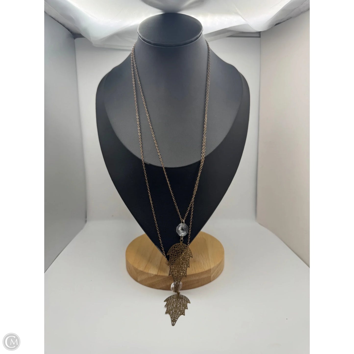 Necklace Layered By Clothes Mentor