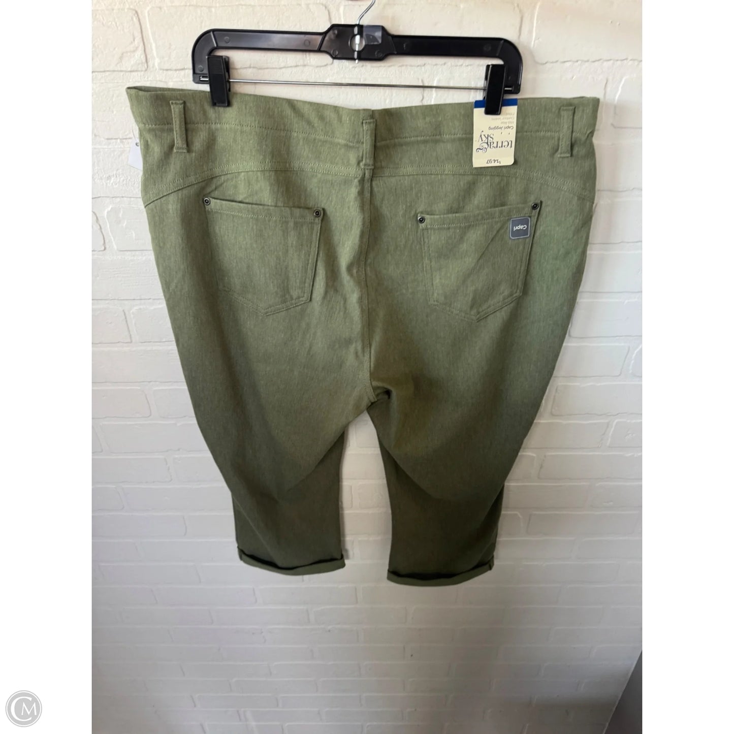 Capris By Terra & Sky In Green, Size: 20