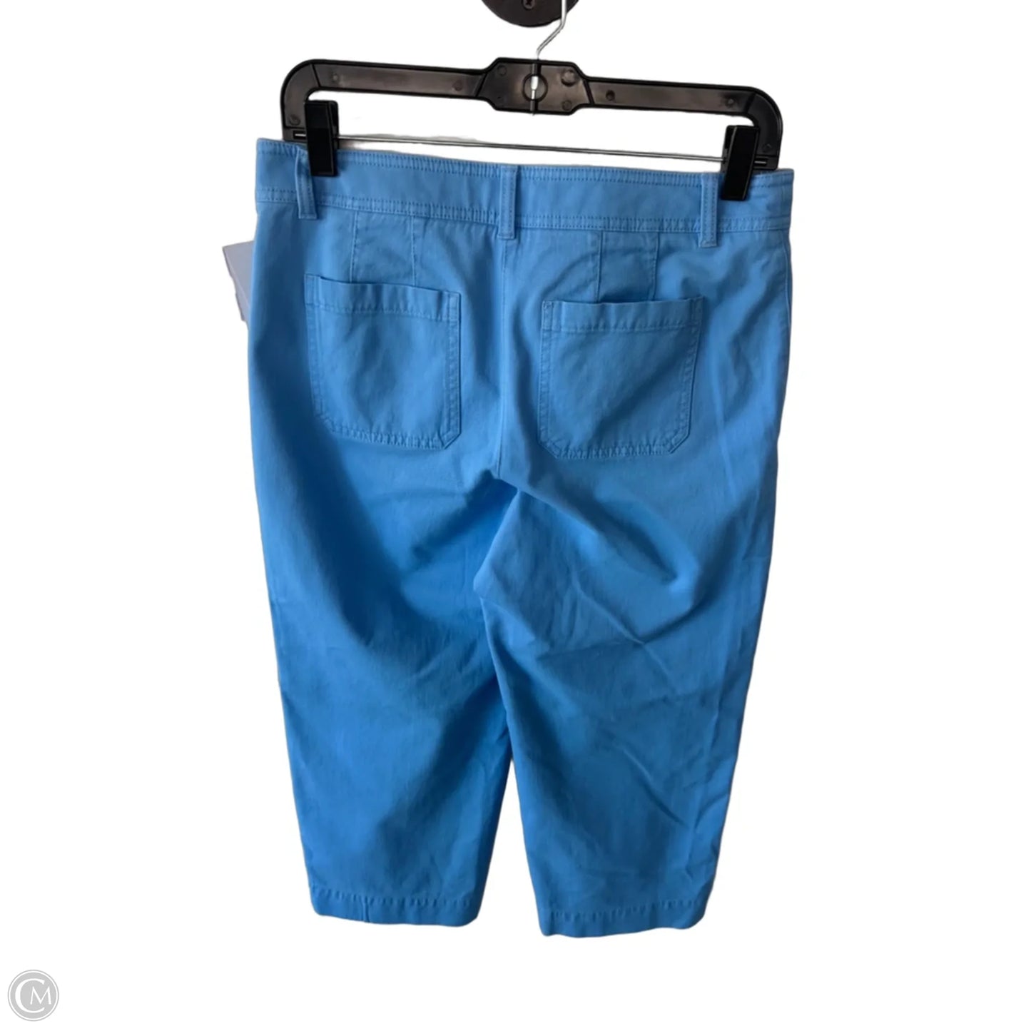 Pants Wide Leg By Talbots In Blue, Size: 4p