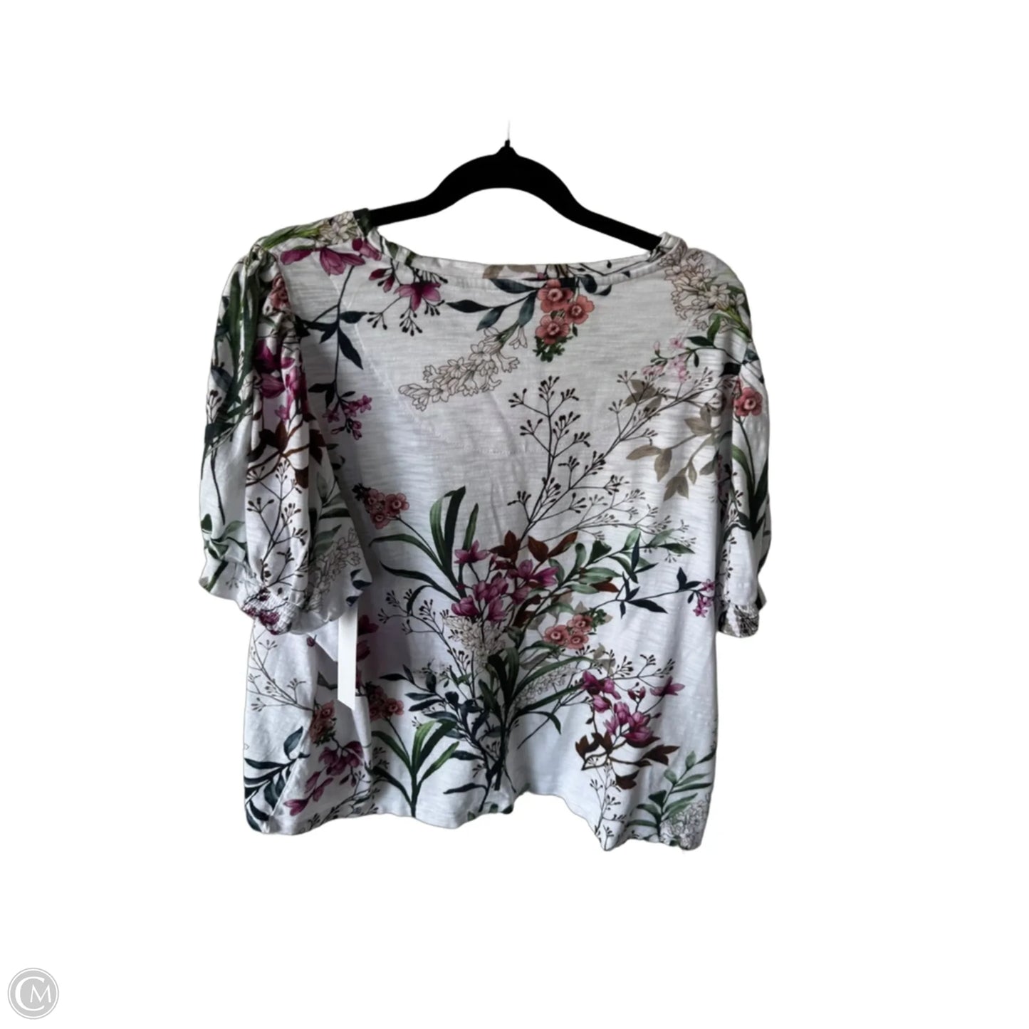 Top Short Sleeve By Chicos In Green & White, Size: Xl