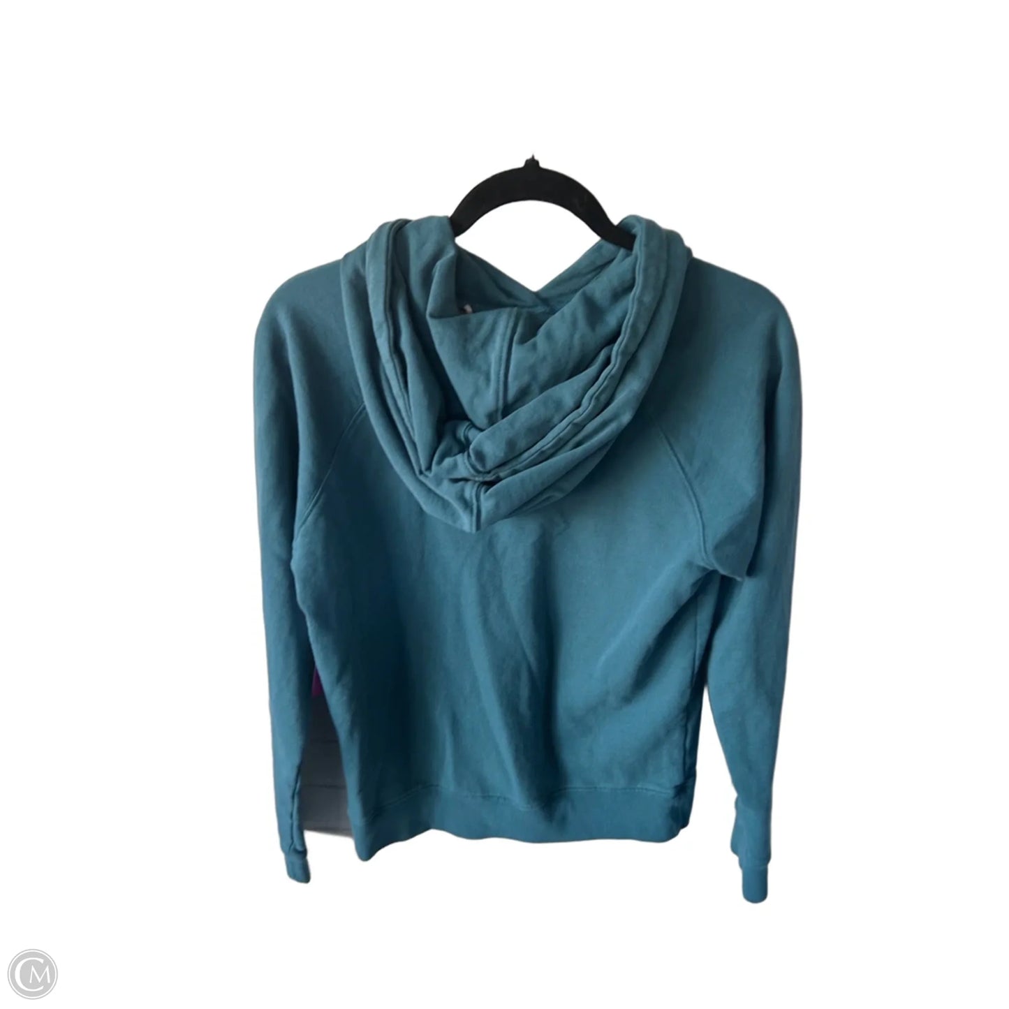 Sweatshirt Hoodie By Patagonia In Blue, Size: S