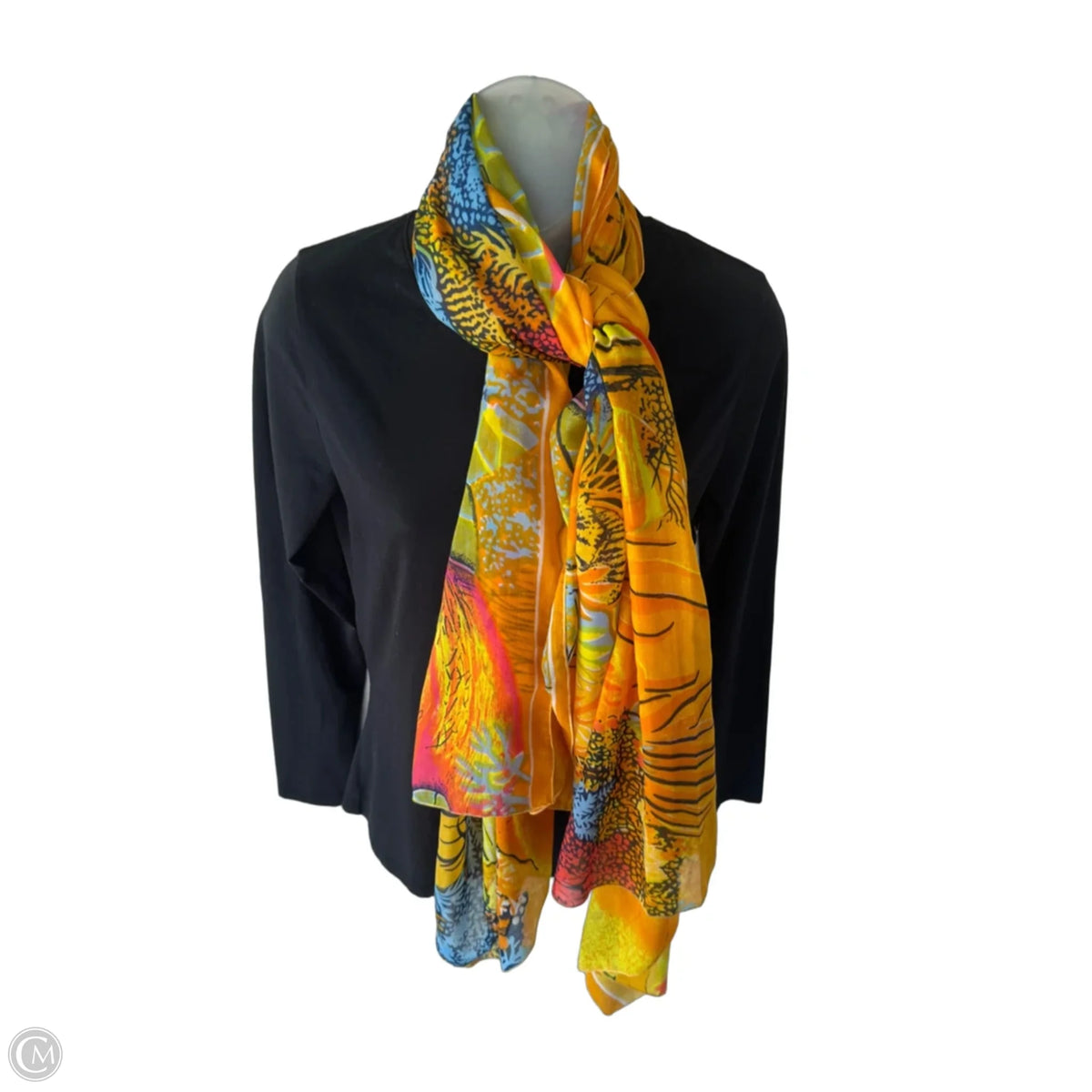 Scarf Long By Clothes Mentor